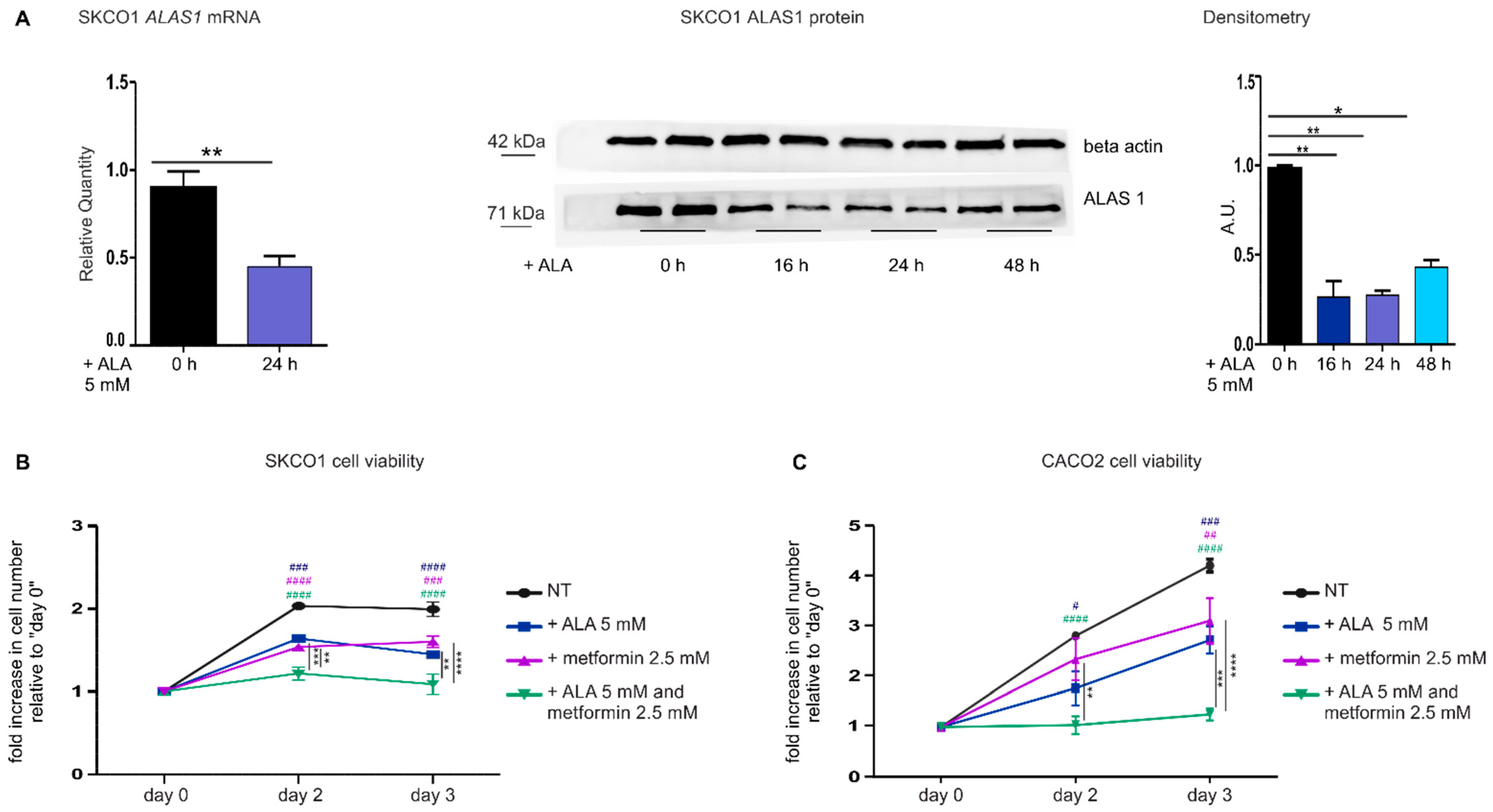 Cancers 14 01230 g002