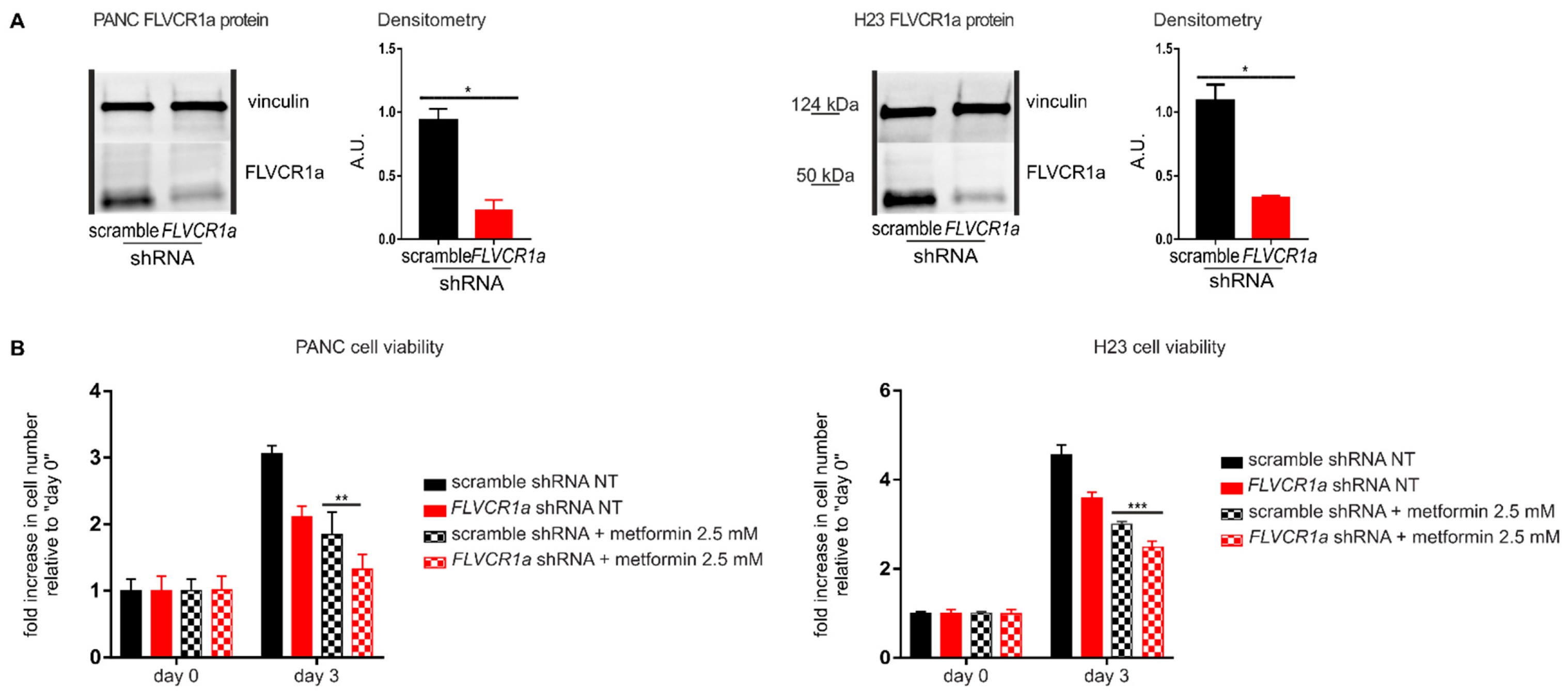Cancers 14 01230 g003a