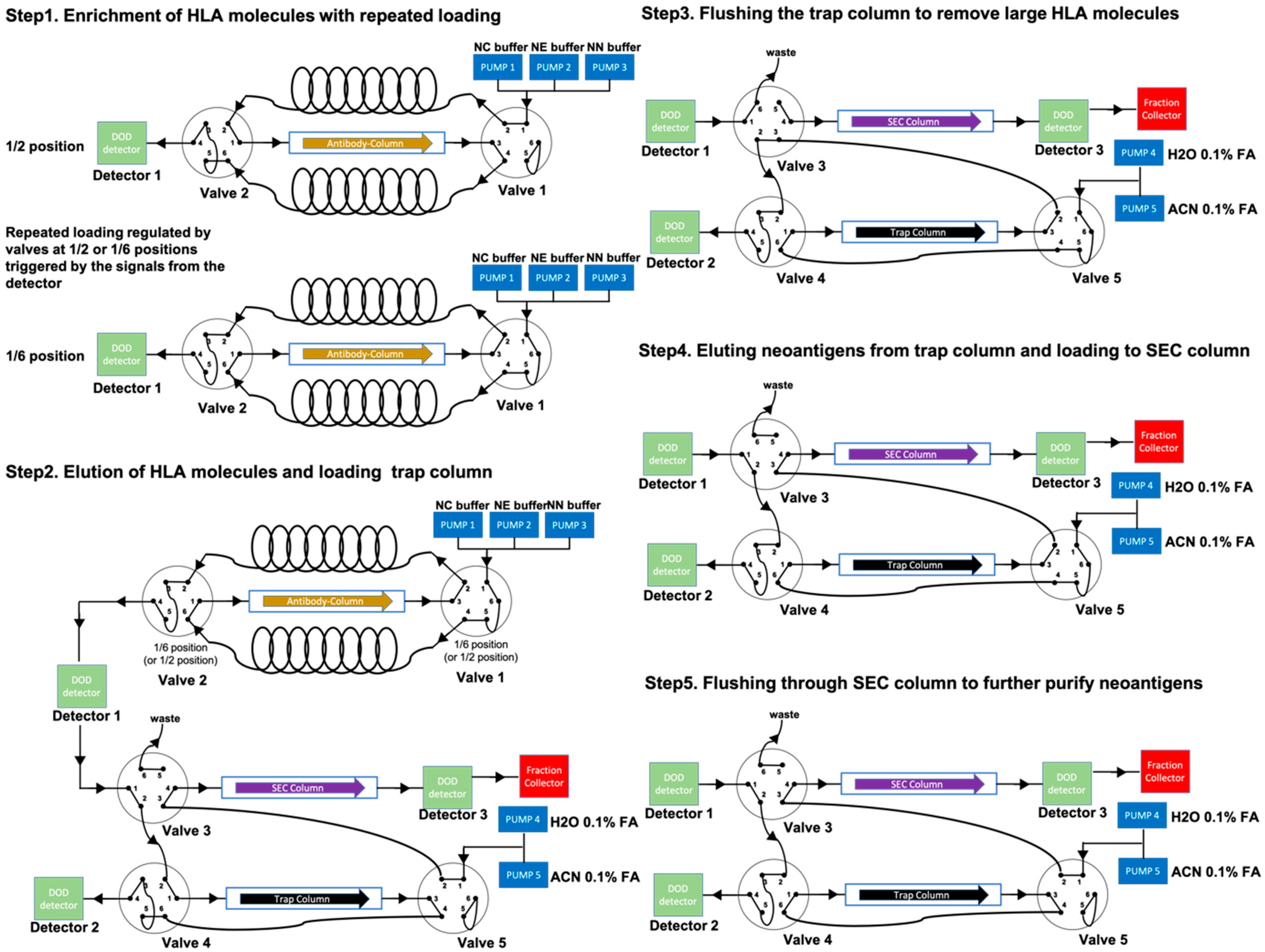 Cancers 14 01243 g002
