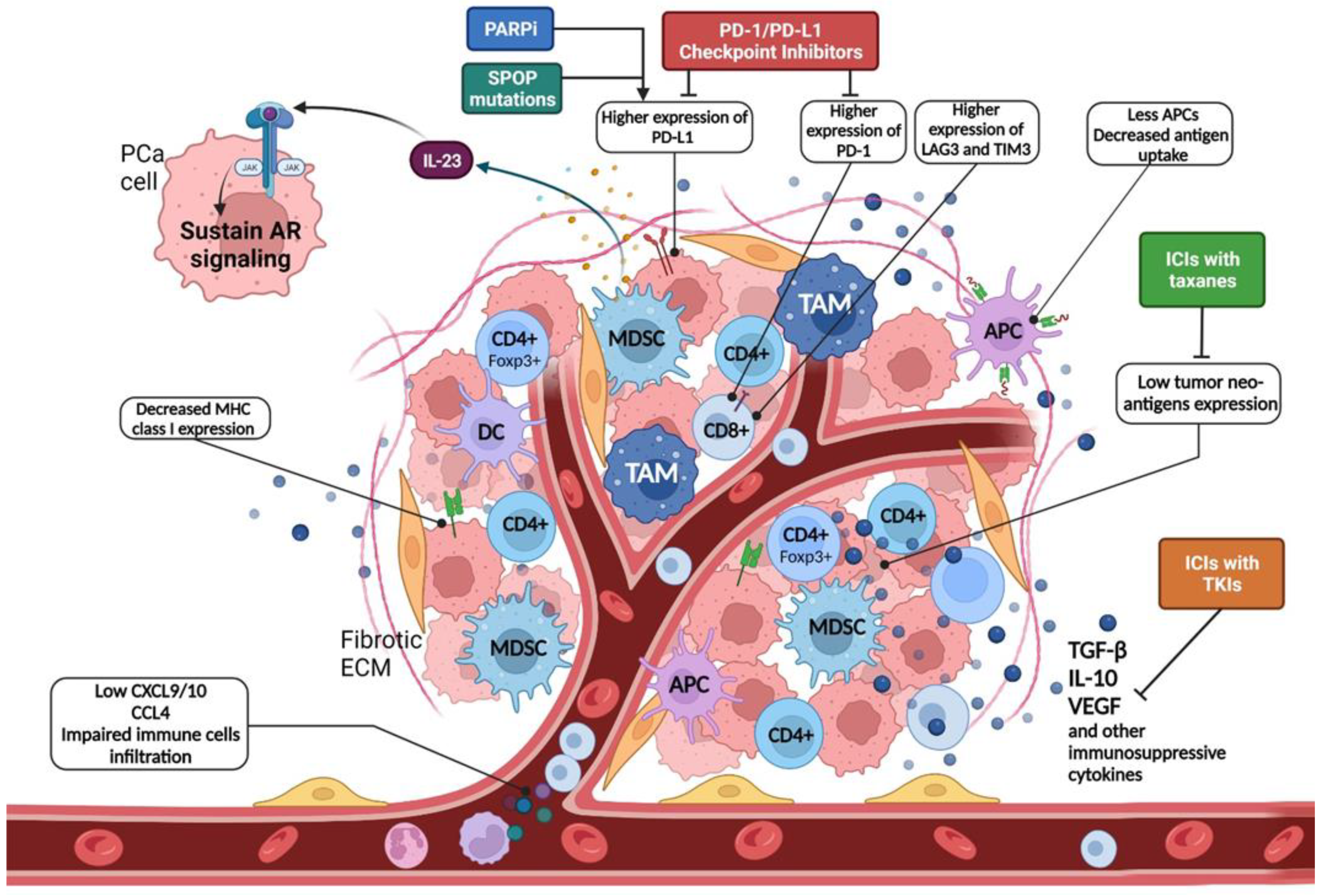 Cancers 14 01245 g001