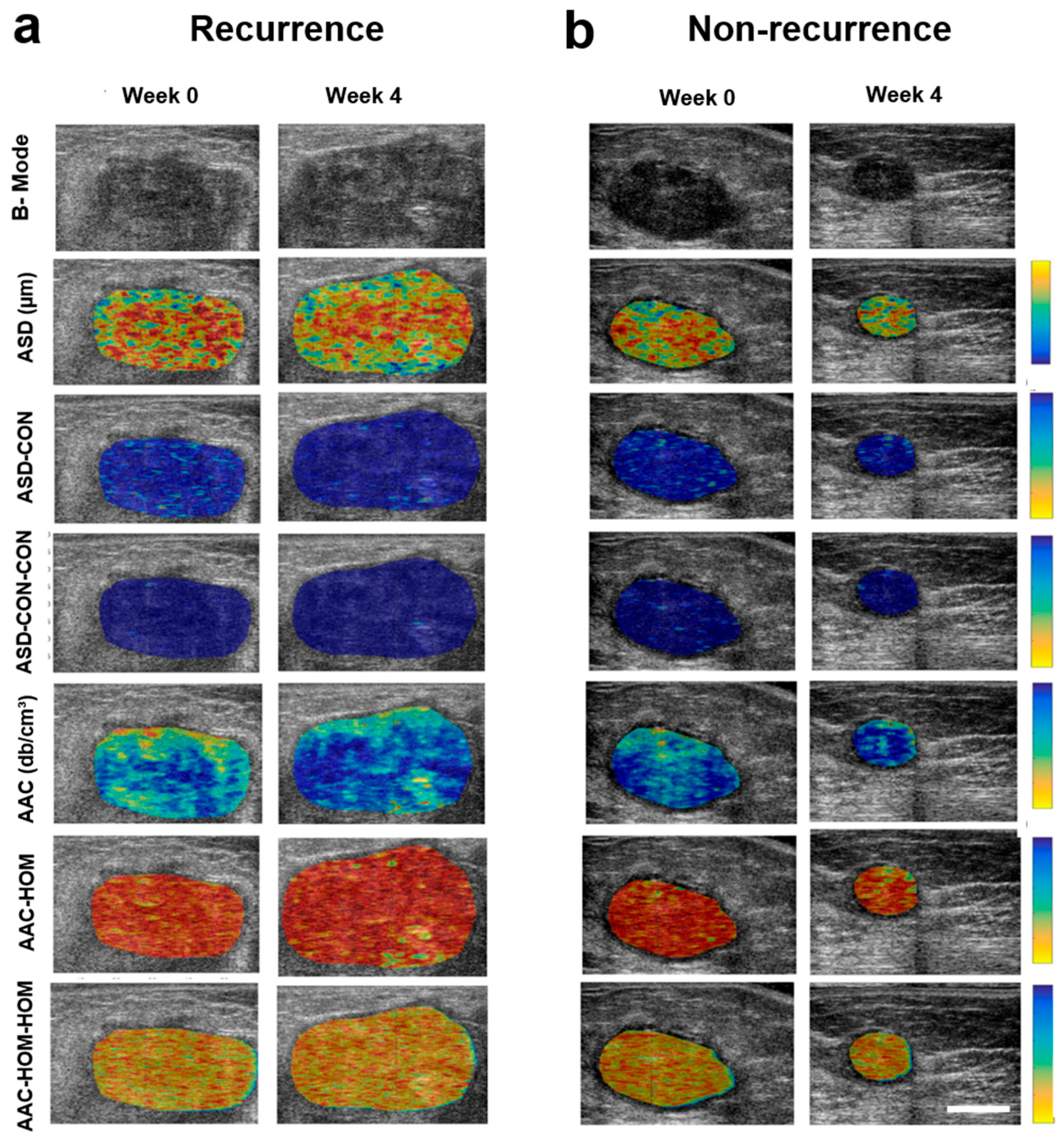 Cancers 14 01247 g001 Cancers 14 01247 g001