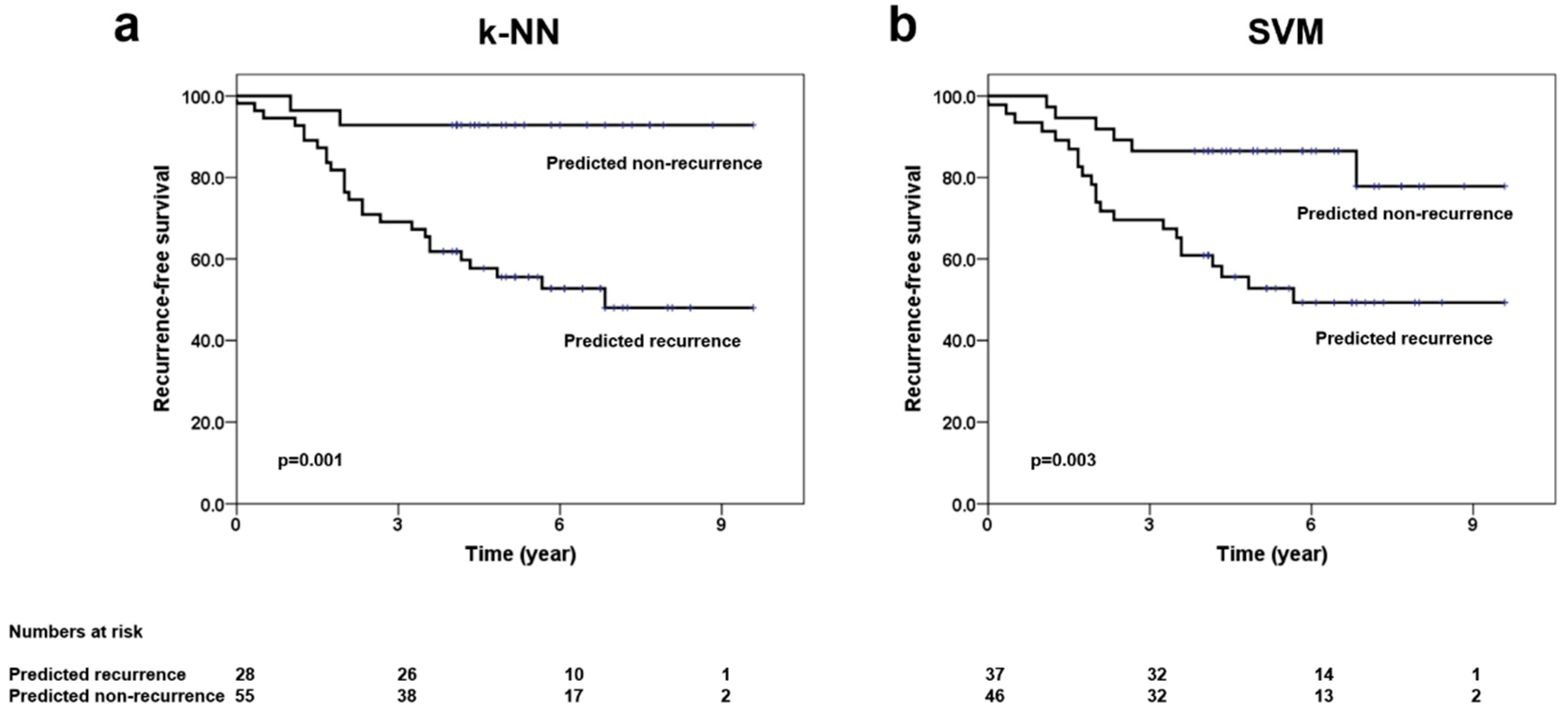Cancers 14 01247 g004 Cancers 14 01247 g004
