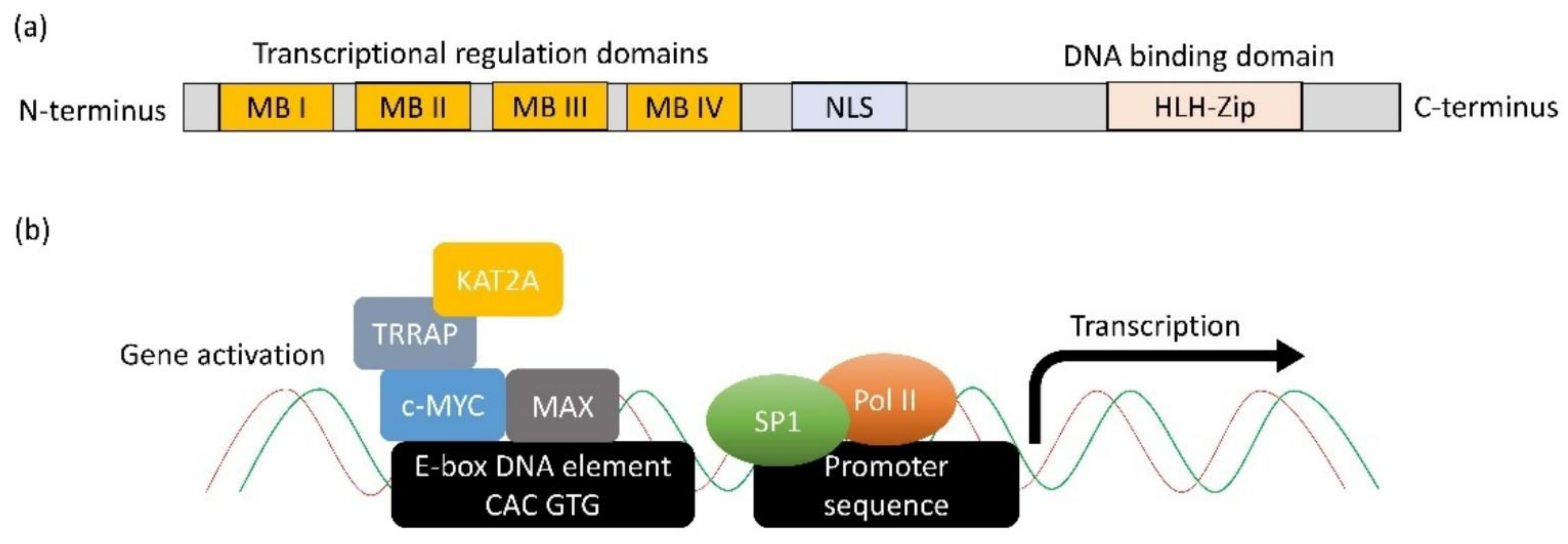 Cancers 14 01251 g001