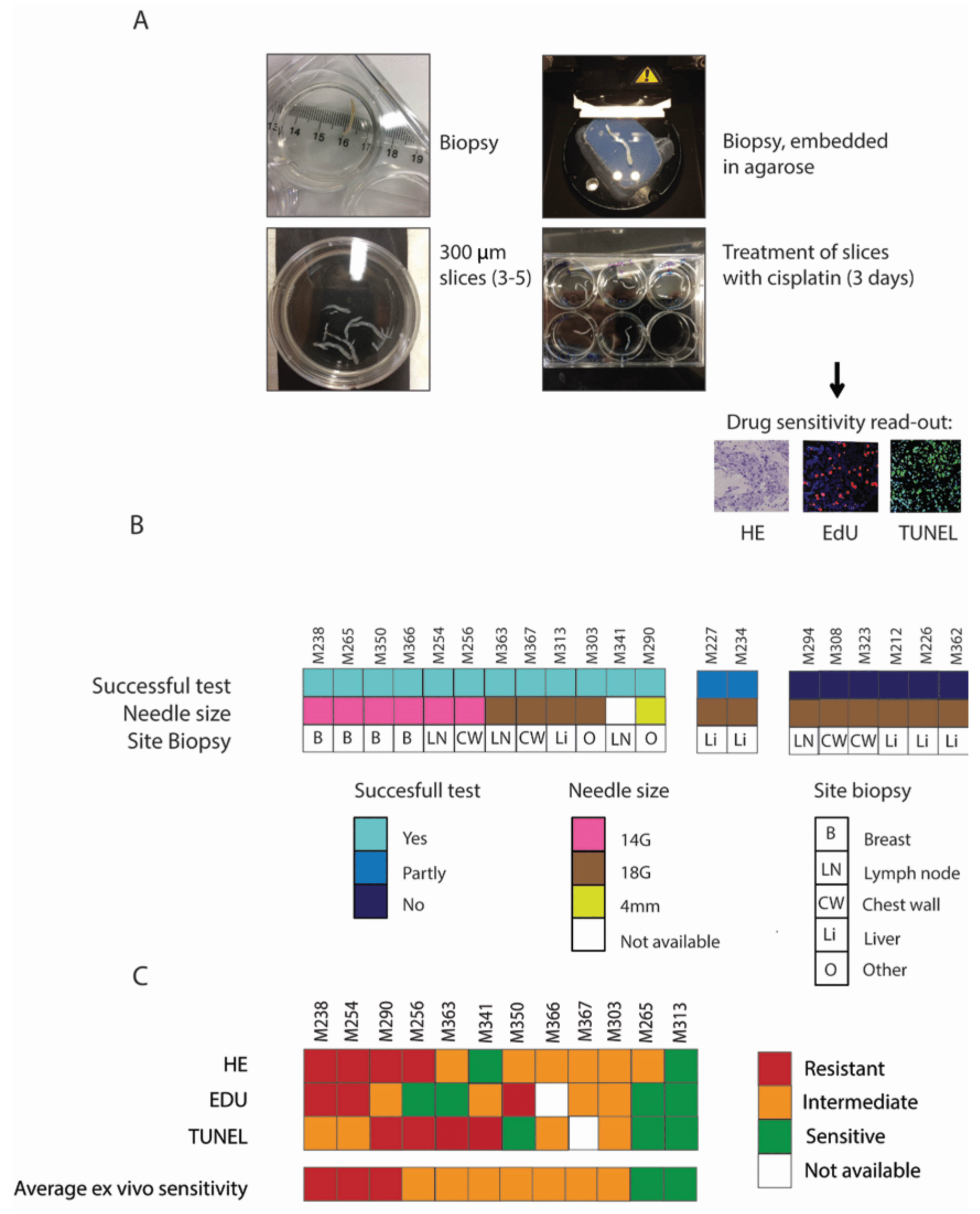 Cancers 14 01252 g005