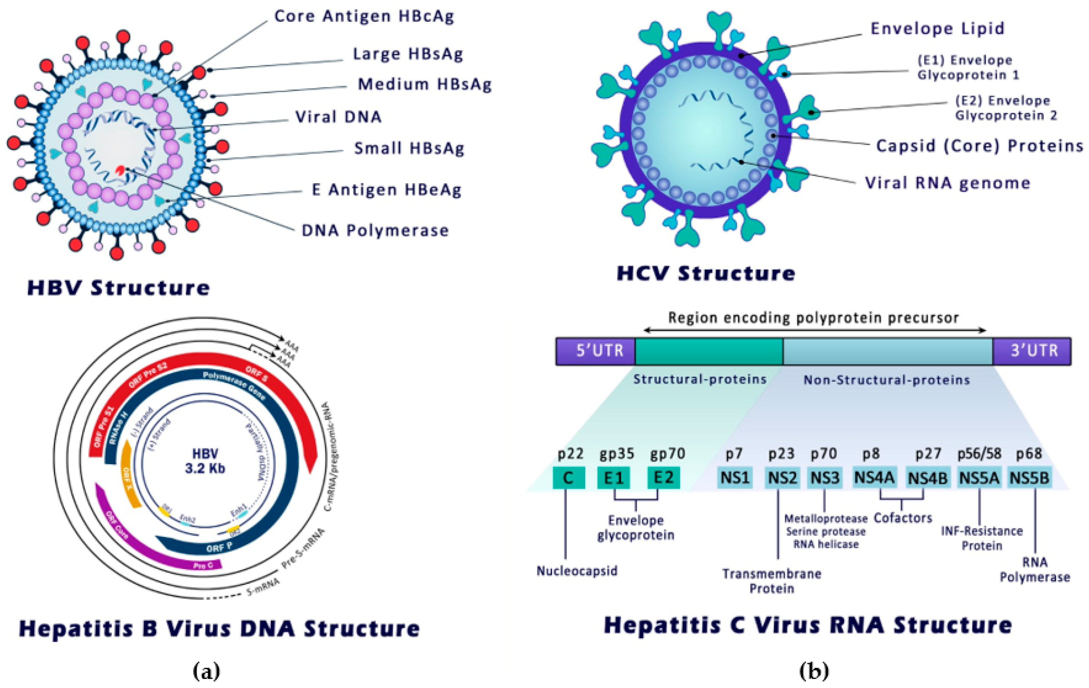 Cancers 14 01255 g001