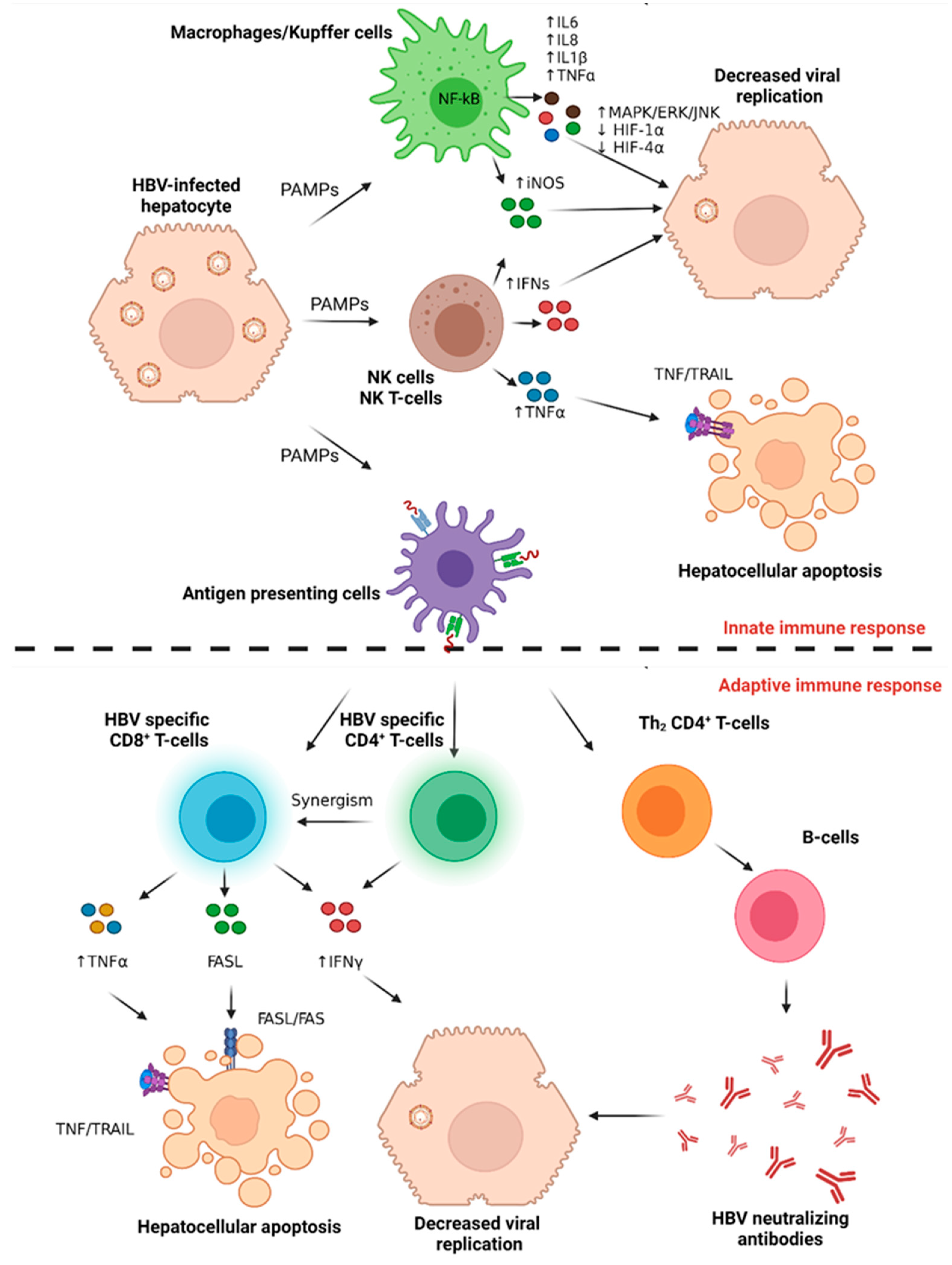 Cancers 14 01255 g002