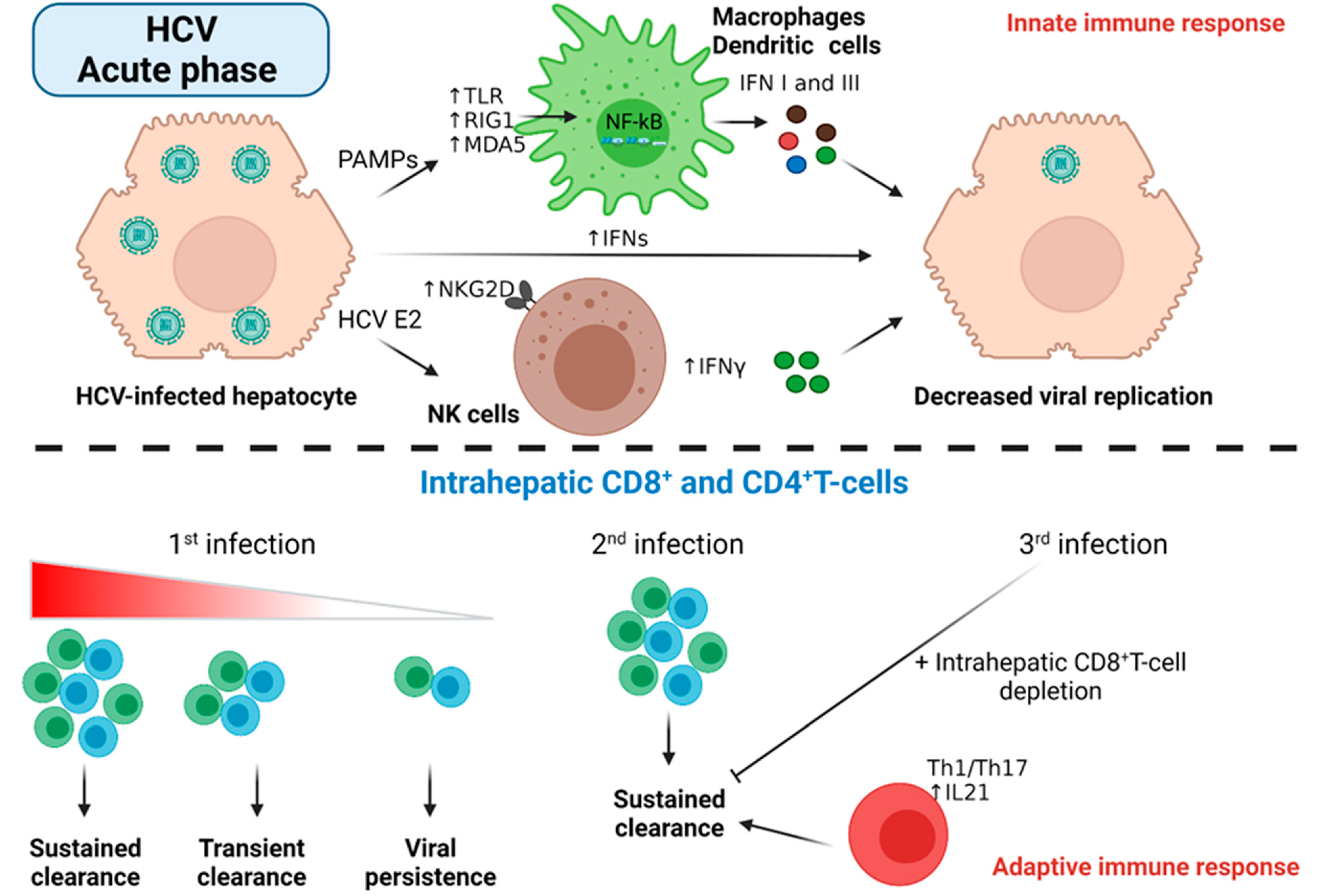 Cancers 14 01255 g004