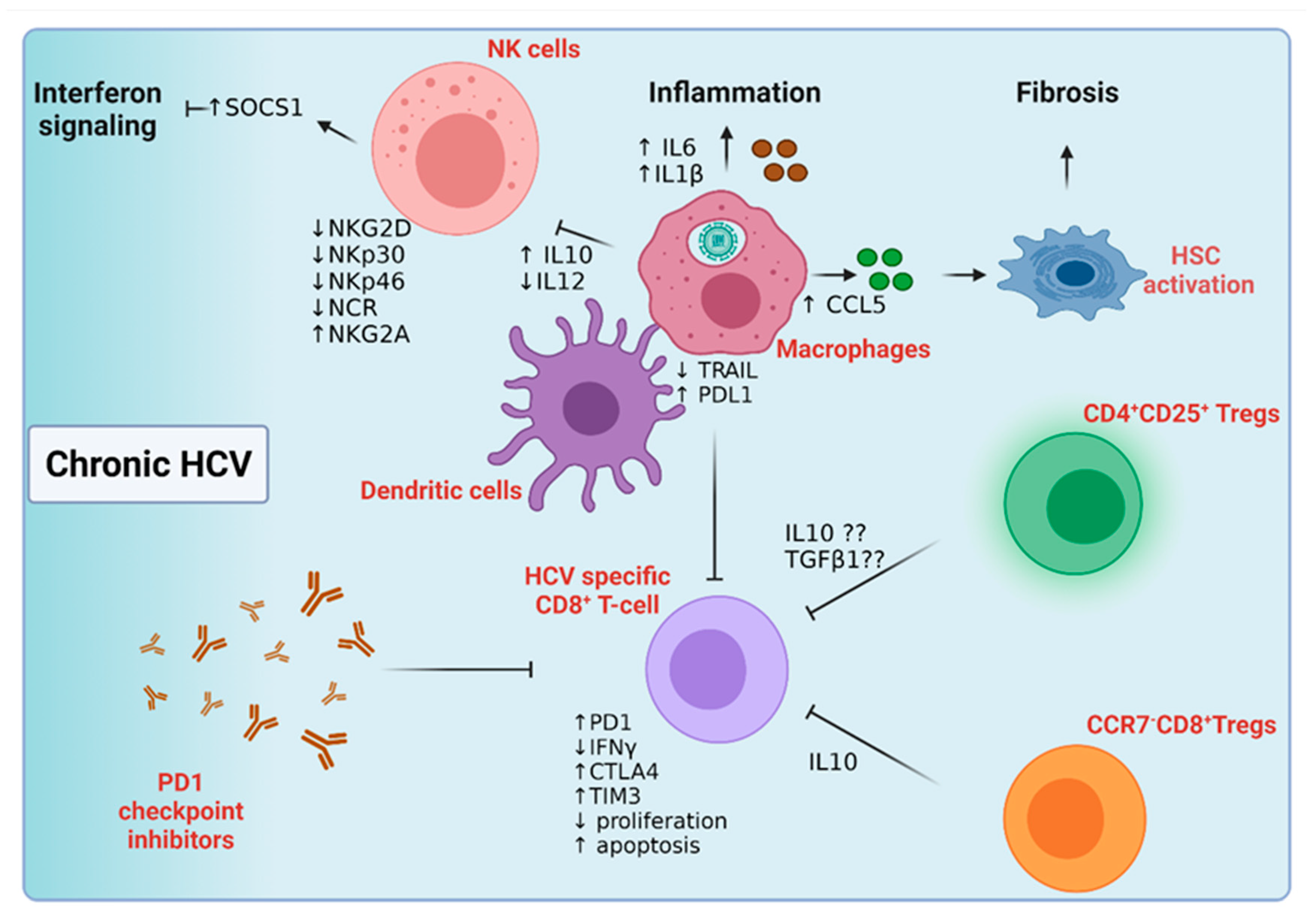 Cancers 14 01255 g005