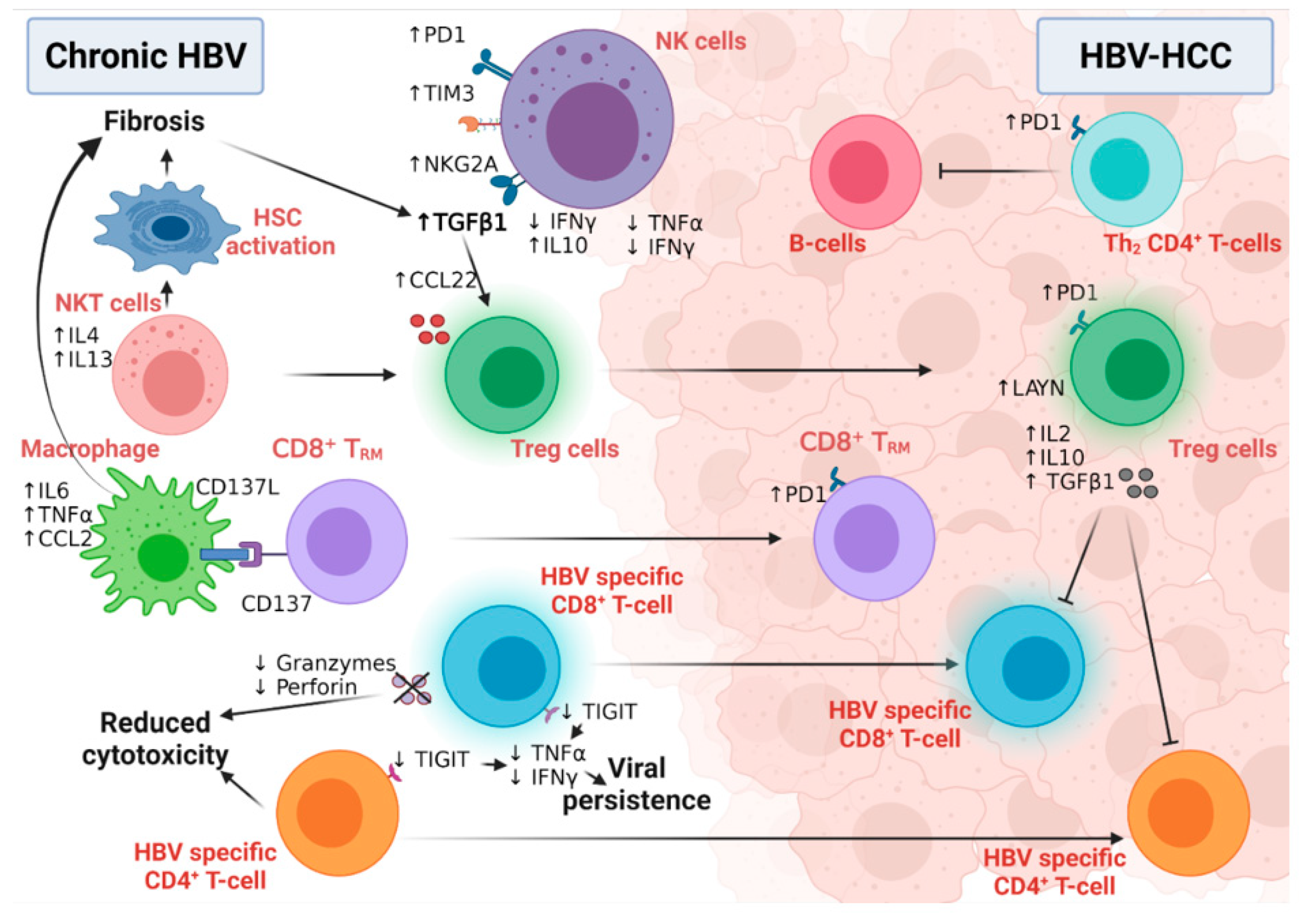 Cancers 14 01255 g006