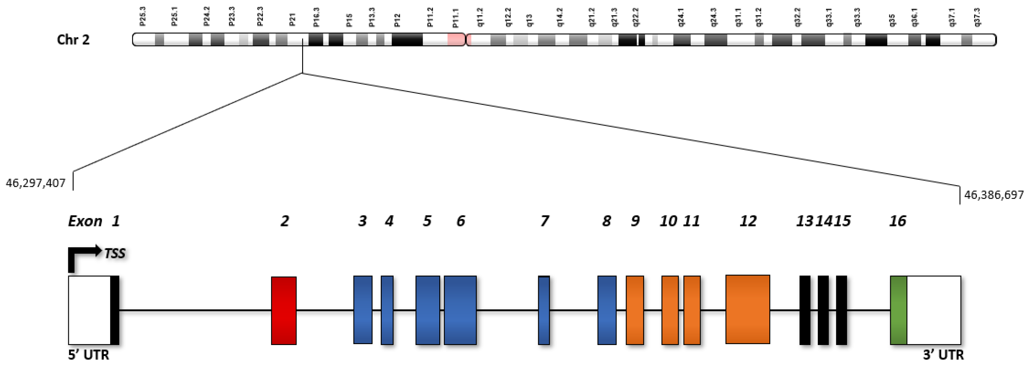 Cancers 14 01259 g001