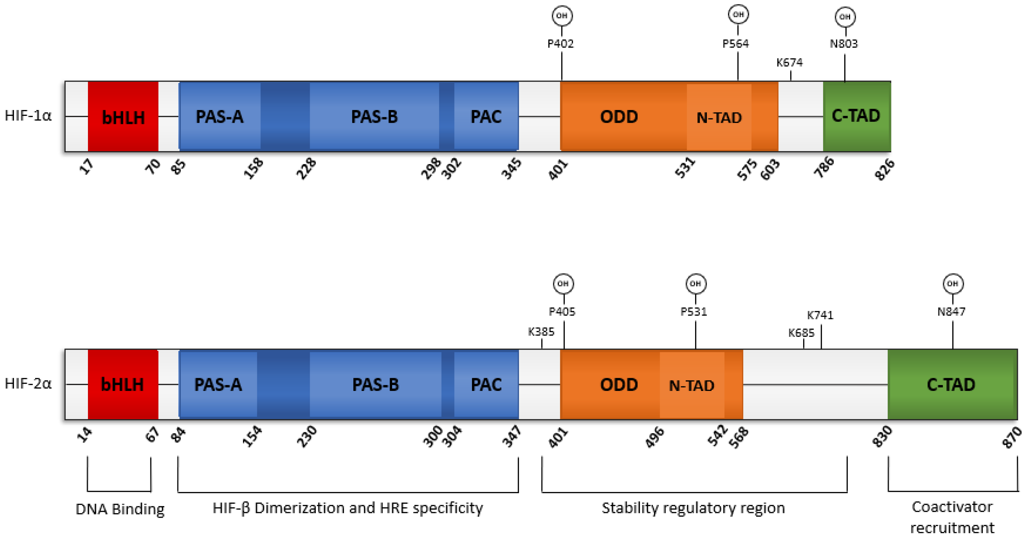 Cancers 14 01259 g002