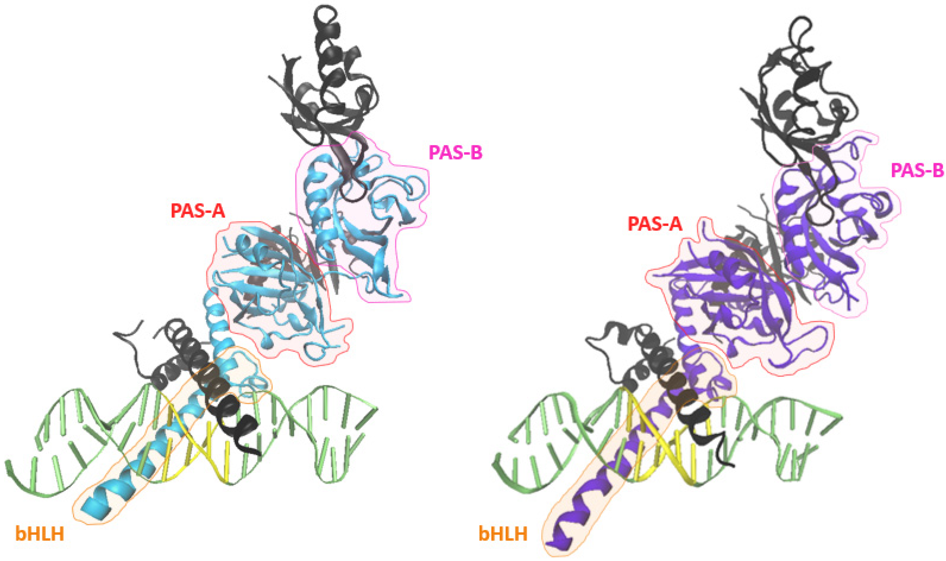 Cancers 14 01259 g003