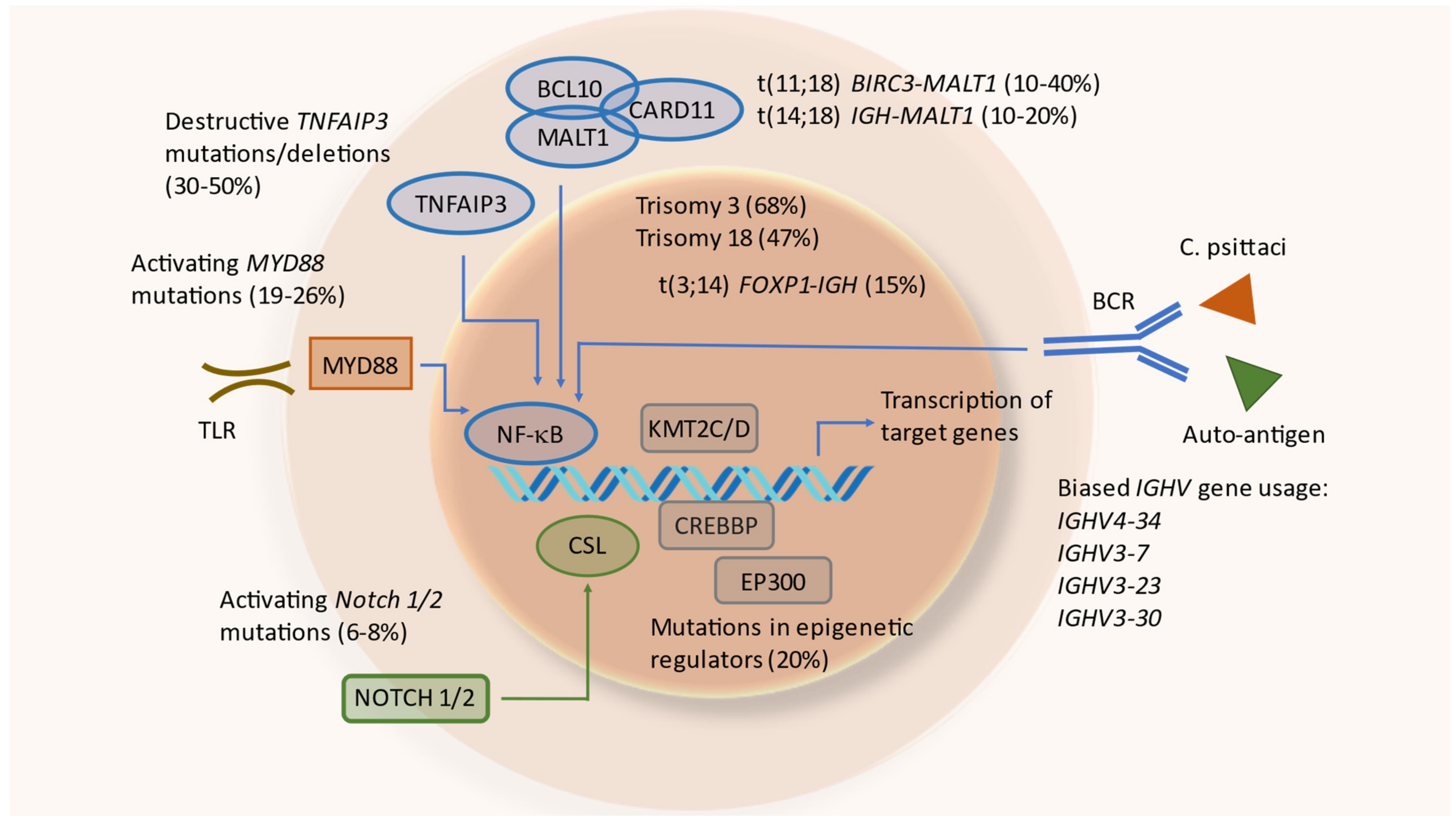 Cancers 14 01264 g003 Cancers 14 01264 g003