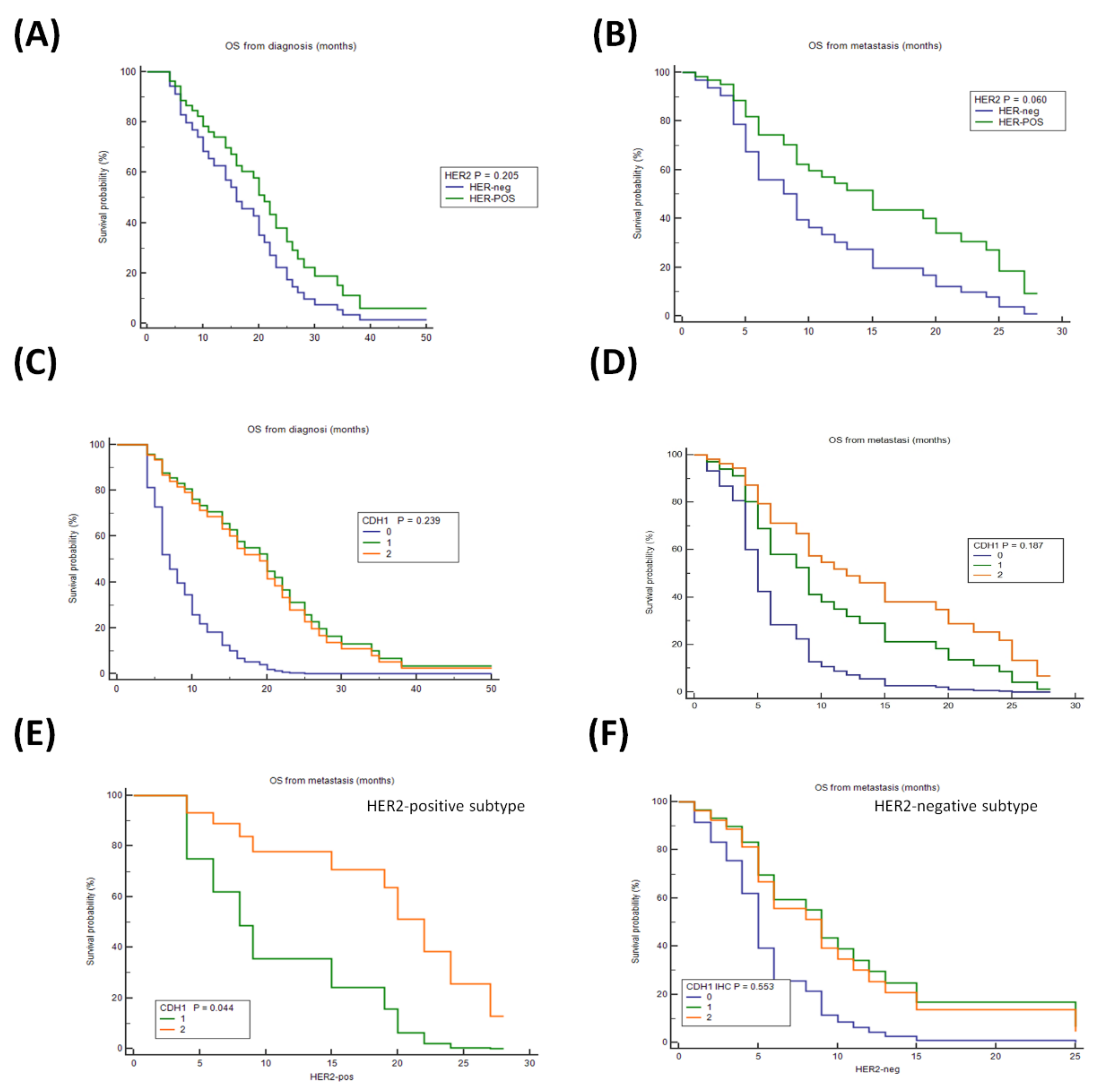 Cancers 14 01266 g001