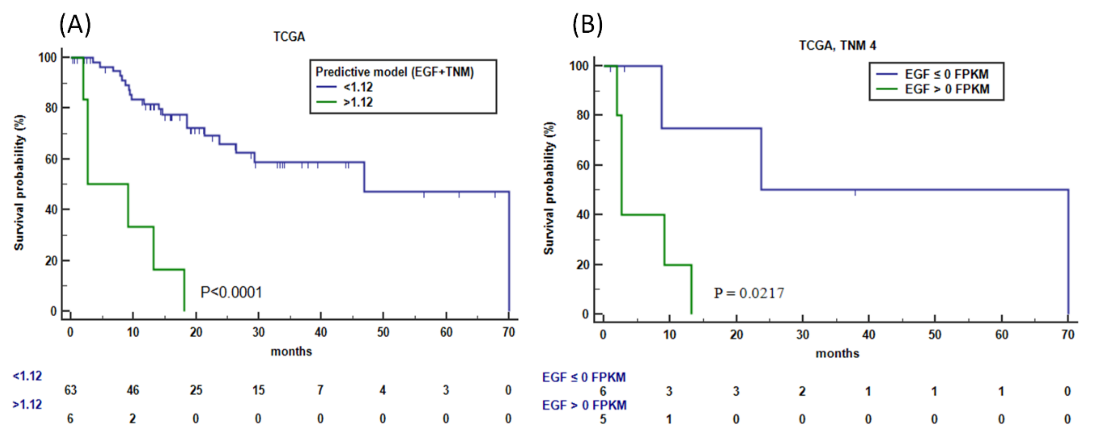 Cancers 14 01266 g007