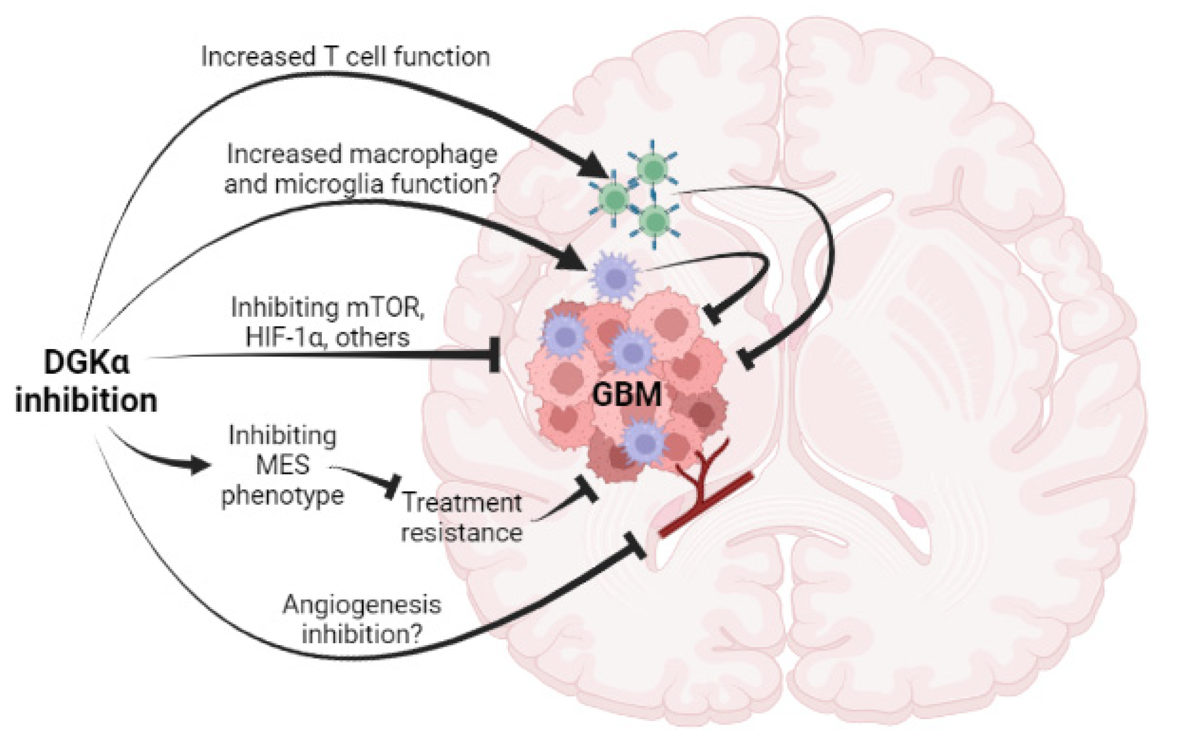 Cancers 14 01269 g001 Cancers 14 01269 g001