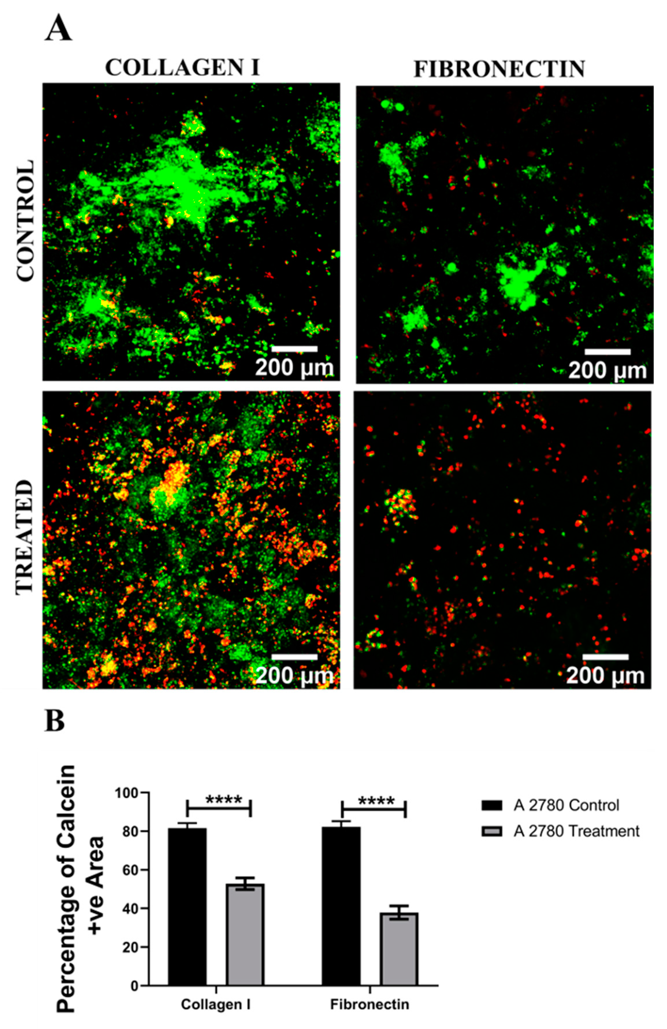 Cancers 14 01274 g007
