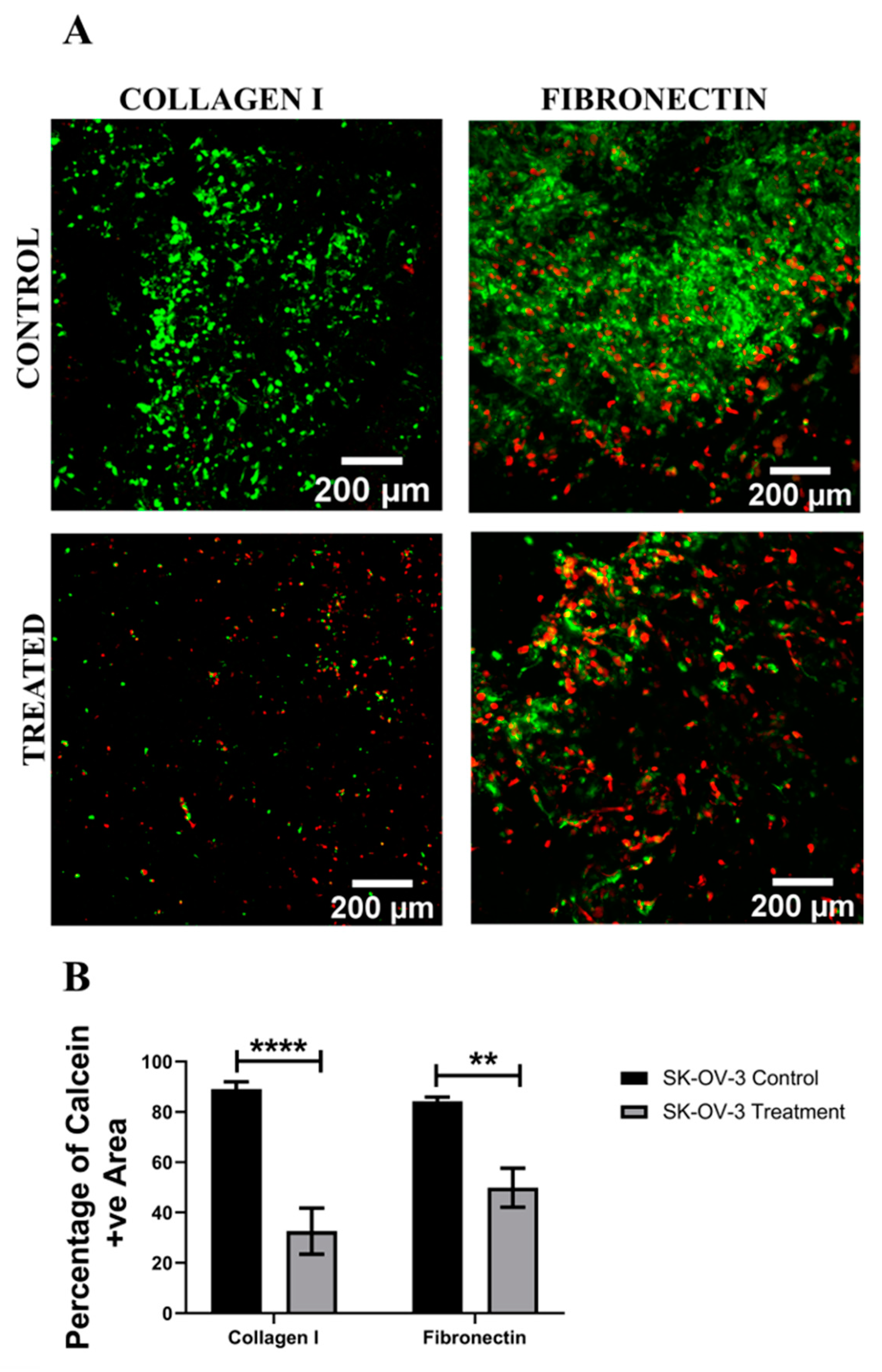 Cancers 14 01274 g008