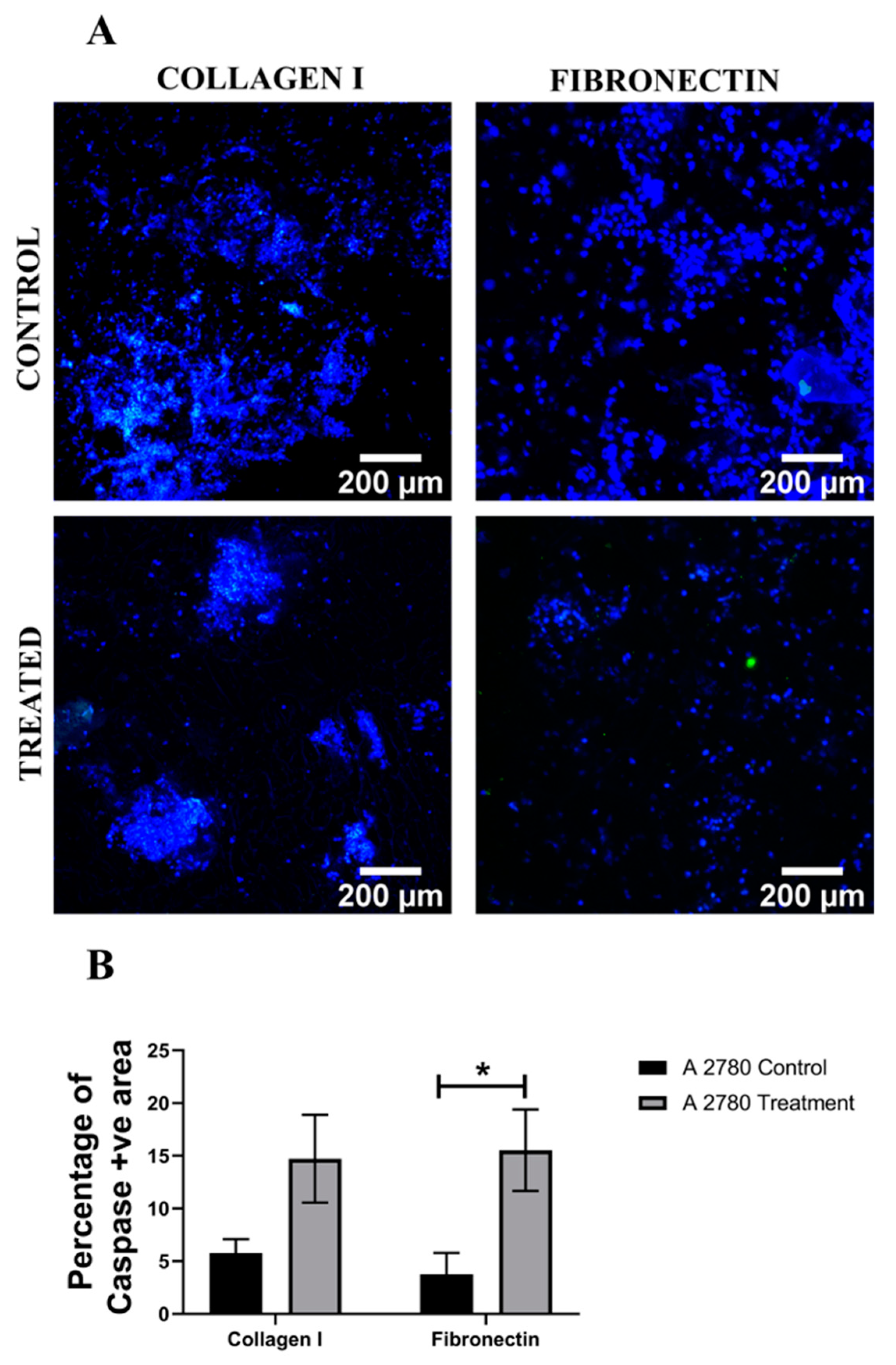 Cancers 14 01274 g009