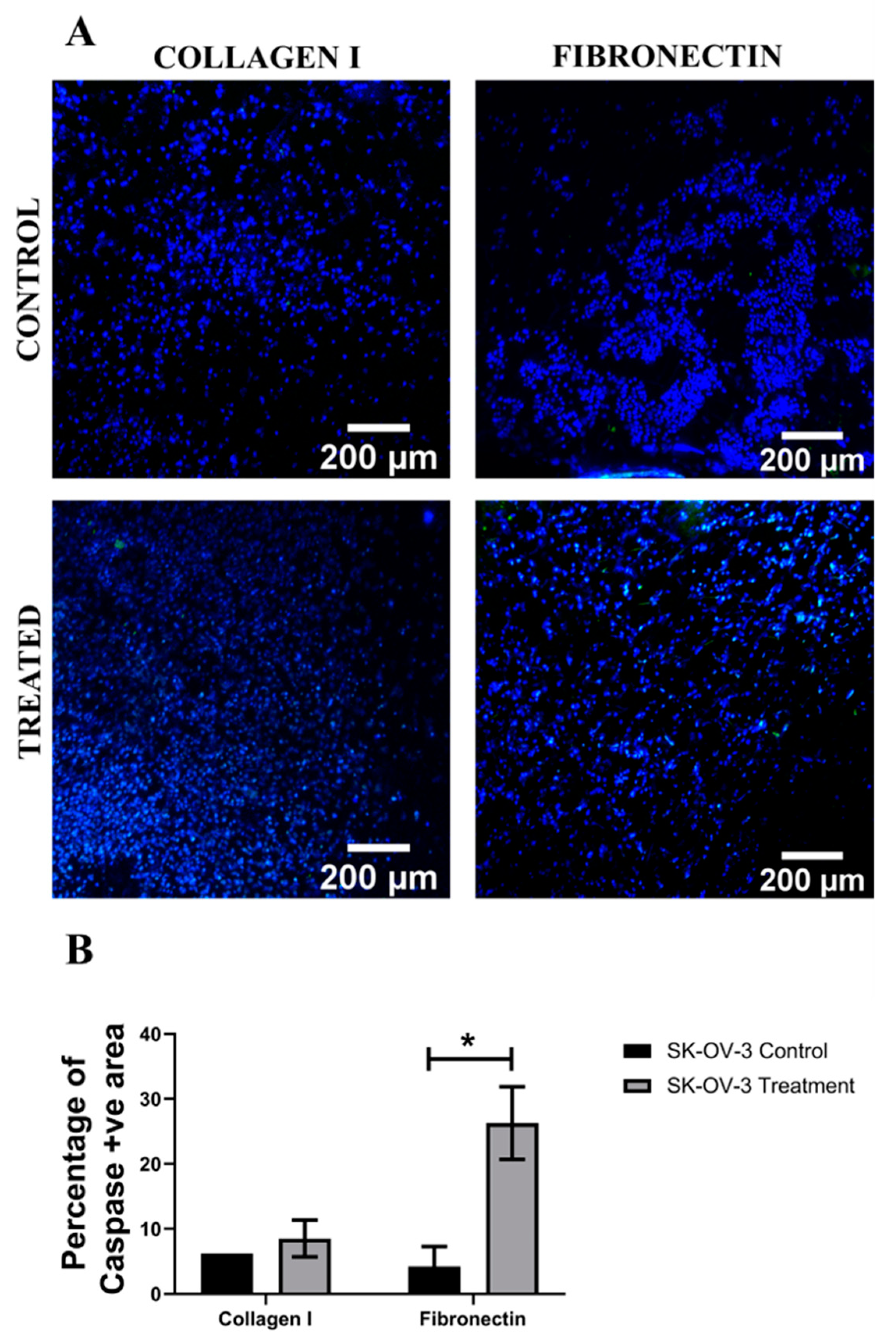 Cancers 14 01274 g010