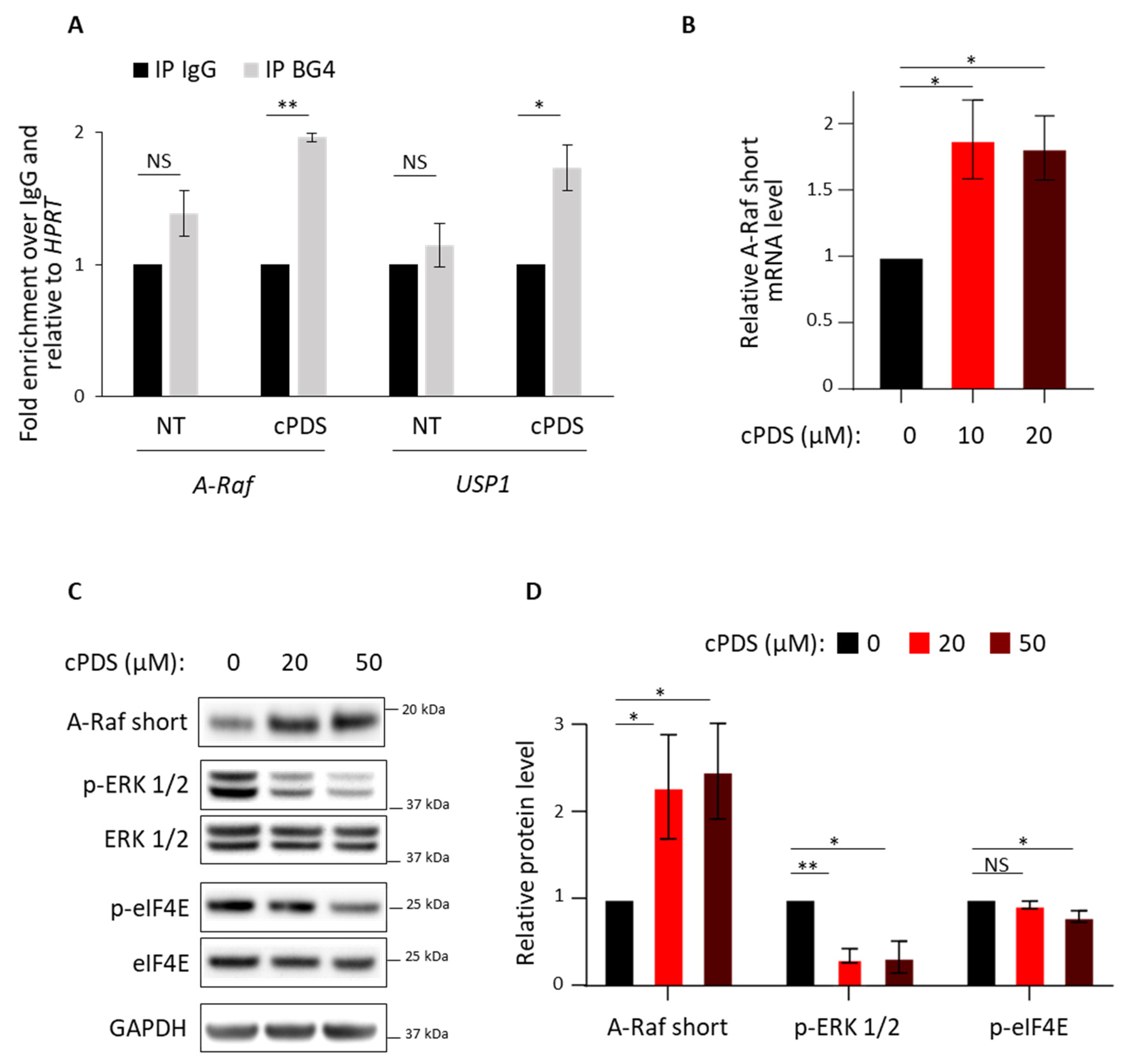 Cancers 14 01283 g002