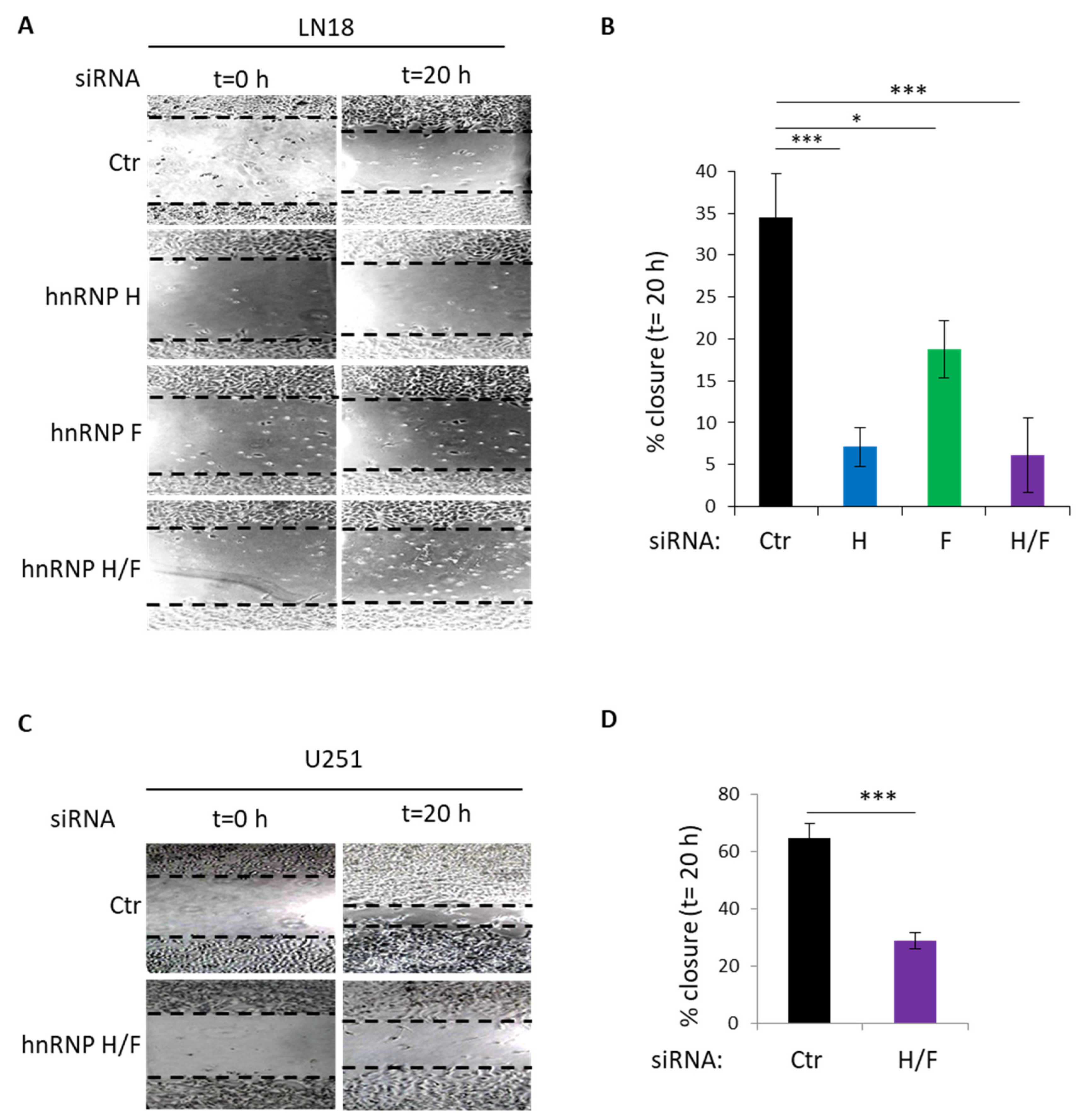 Cancers 14 01283 g004