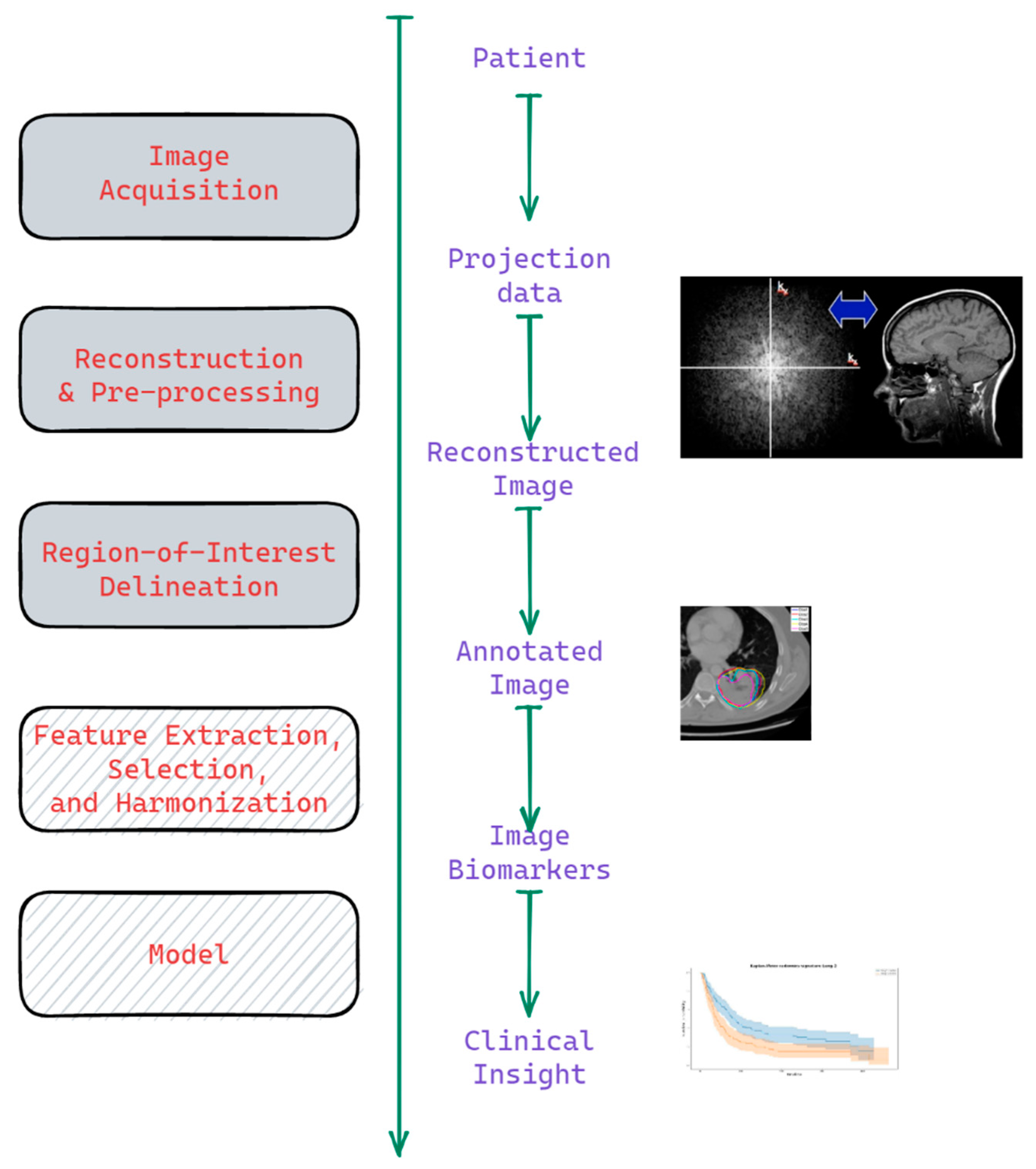 Cancers 14 01288 g001