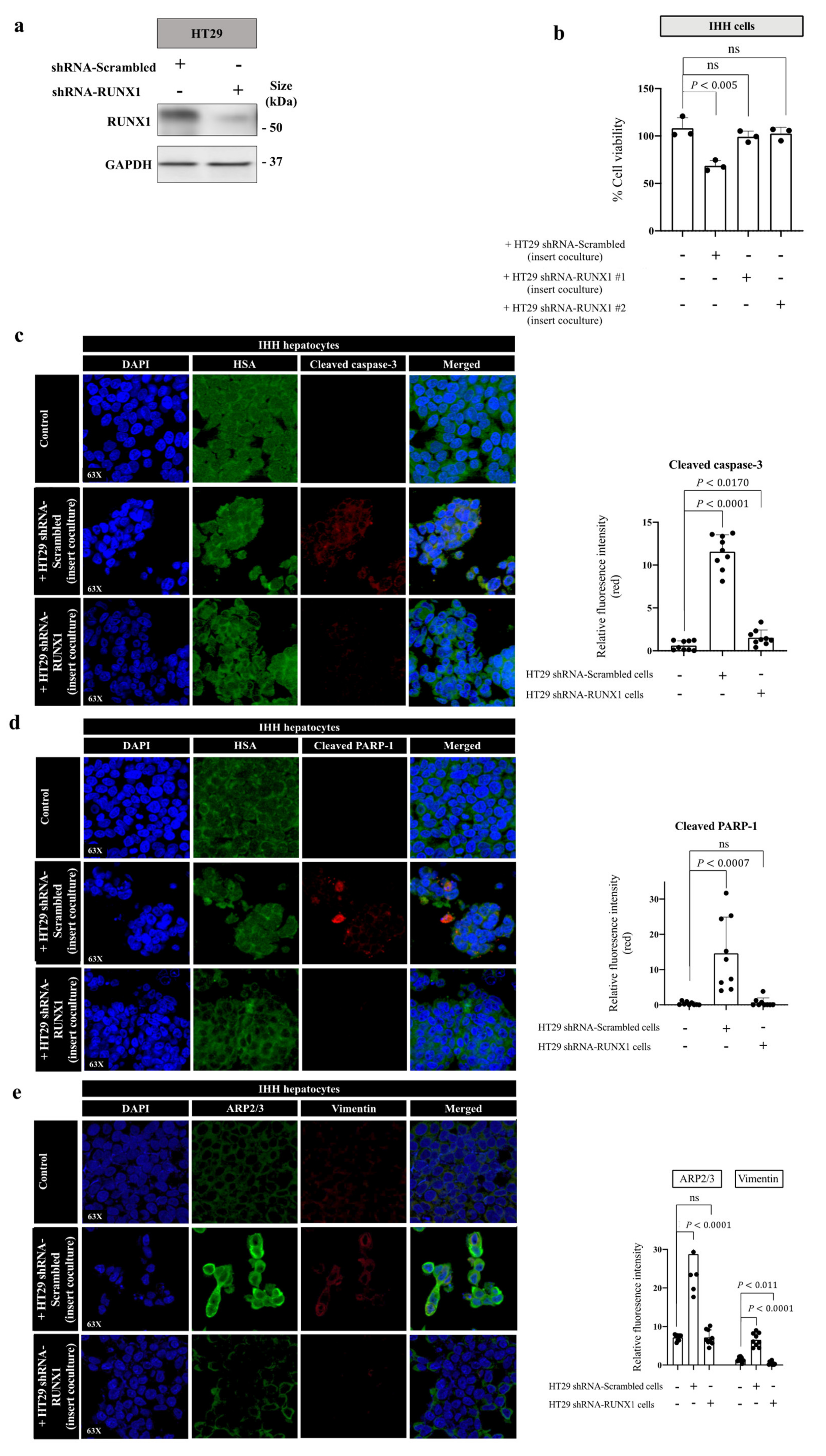 Cancers 14 01318 g005 Cancers 14 01318 g005