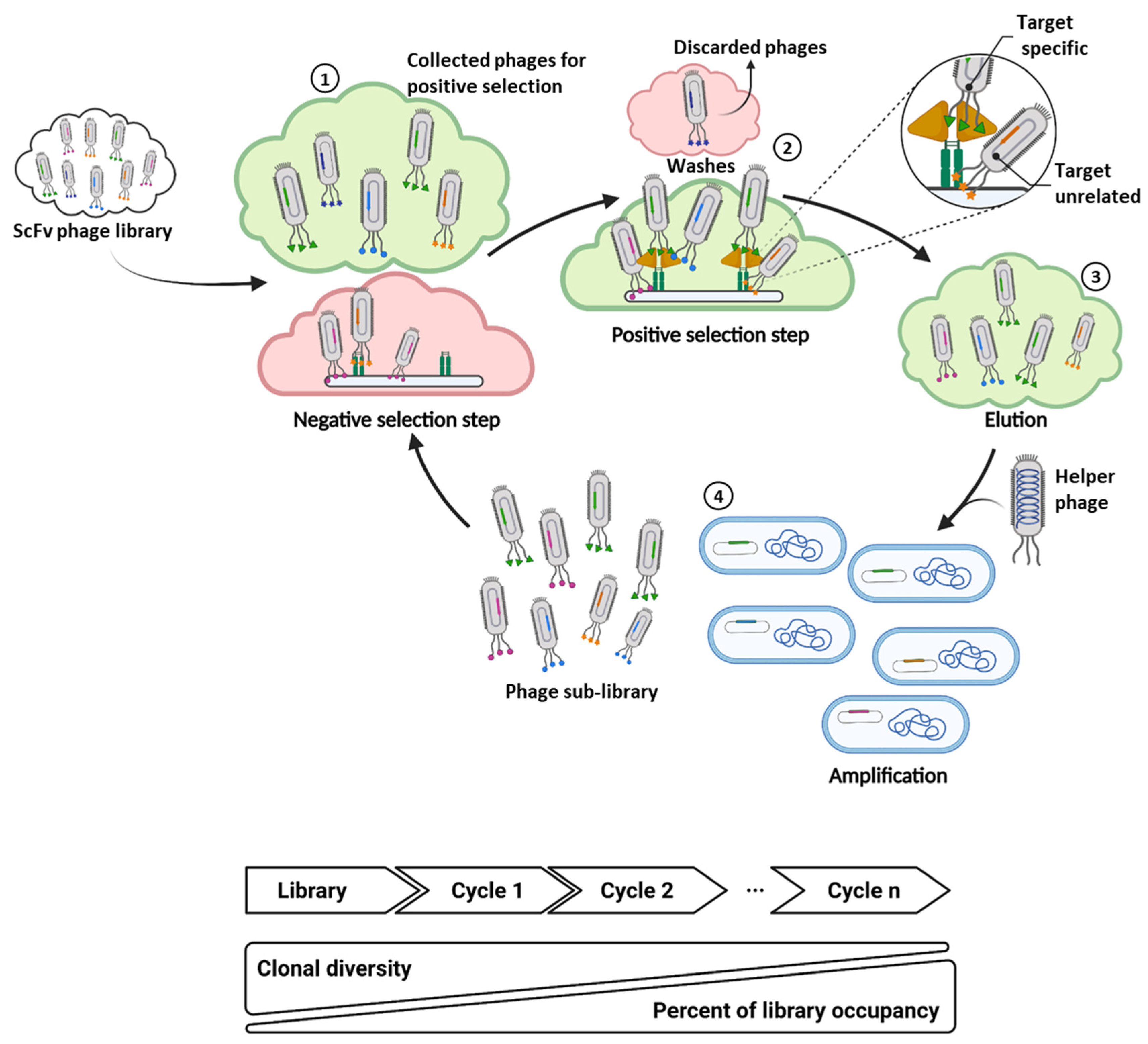Cancers 14 01325 g001