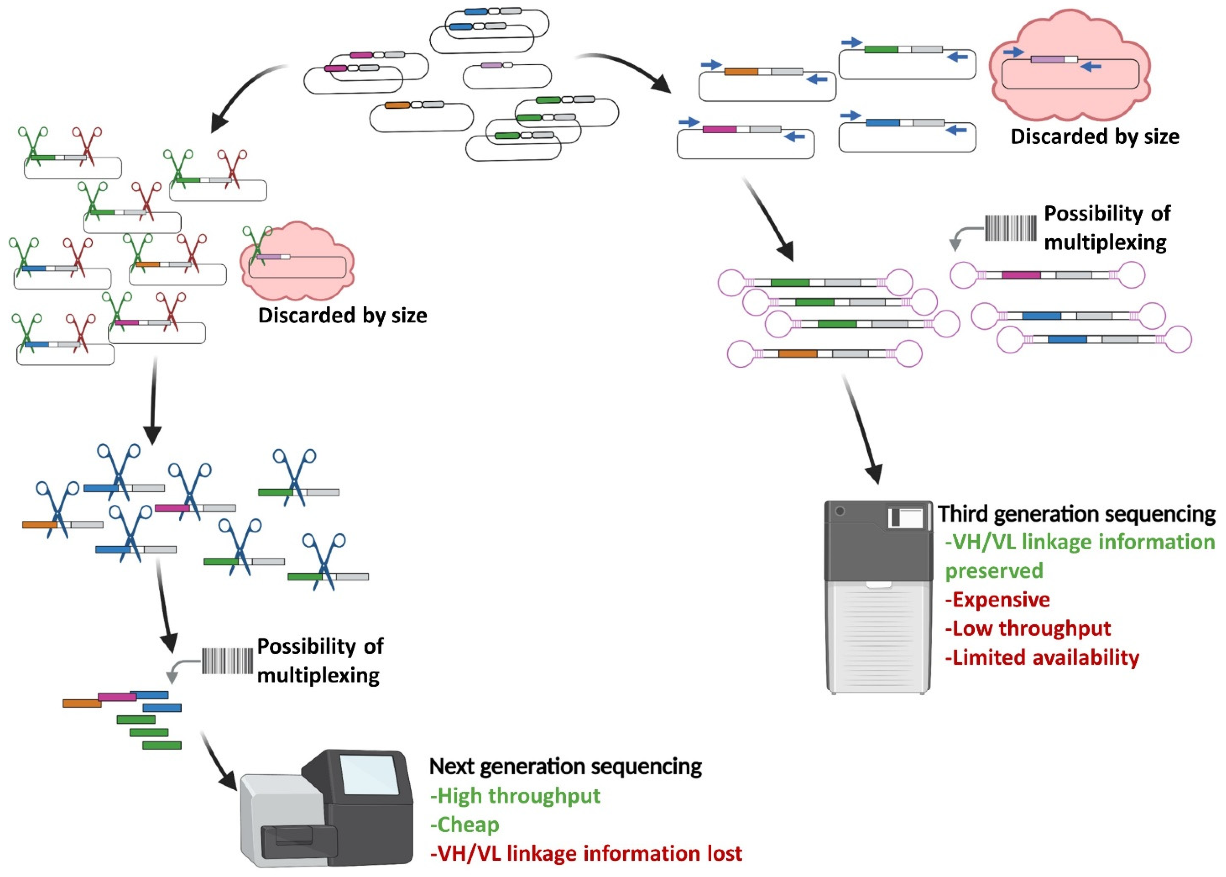 Cancers 14 01325 g002