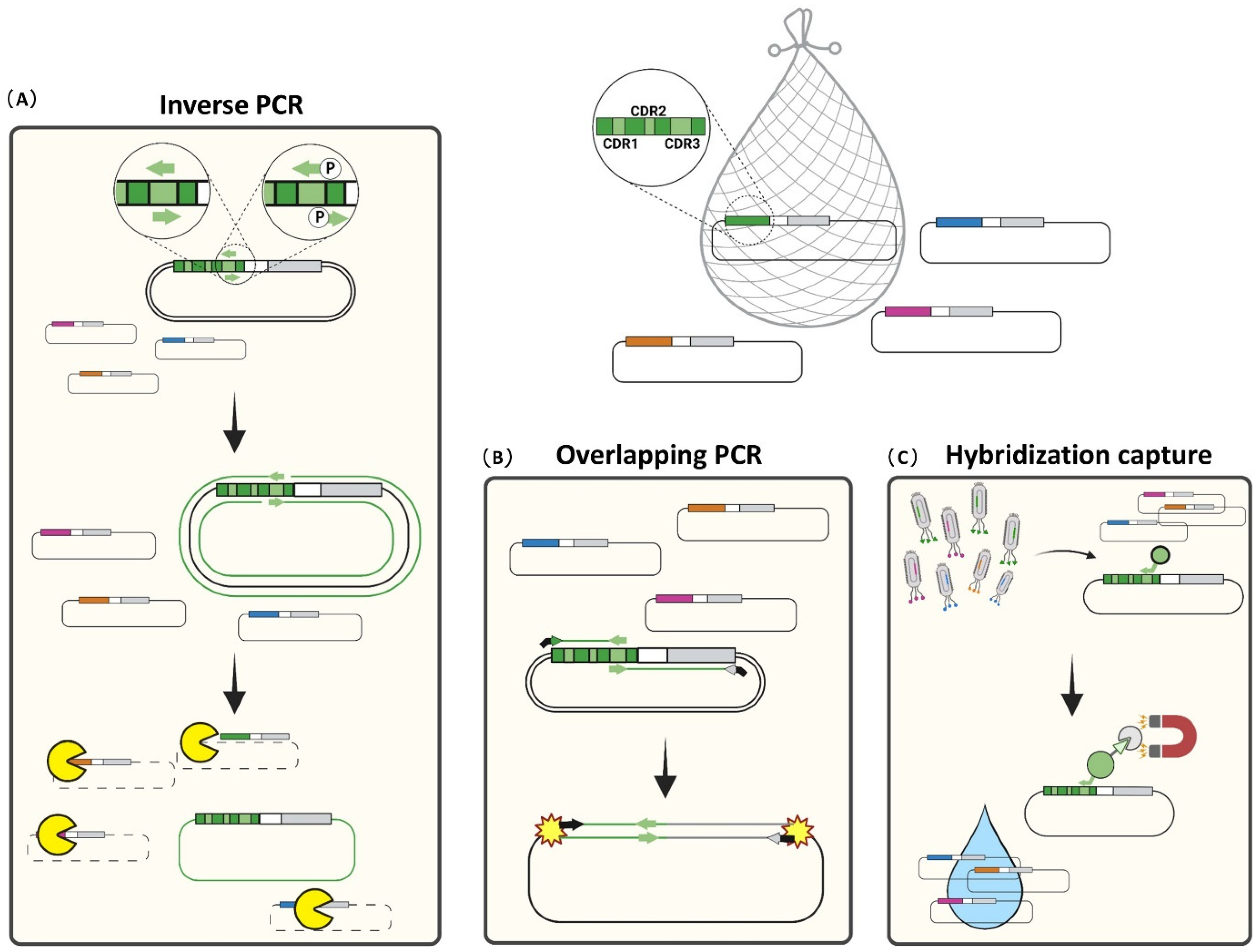 Cancers 14 01325 g005