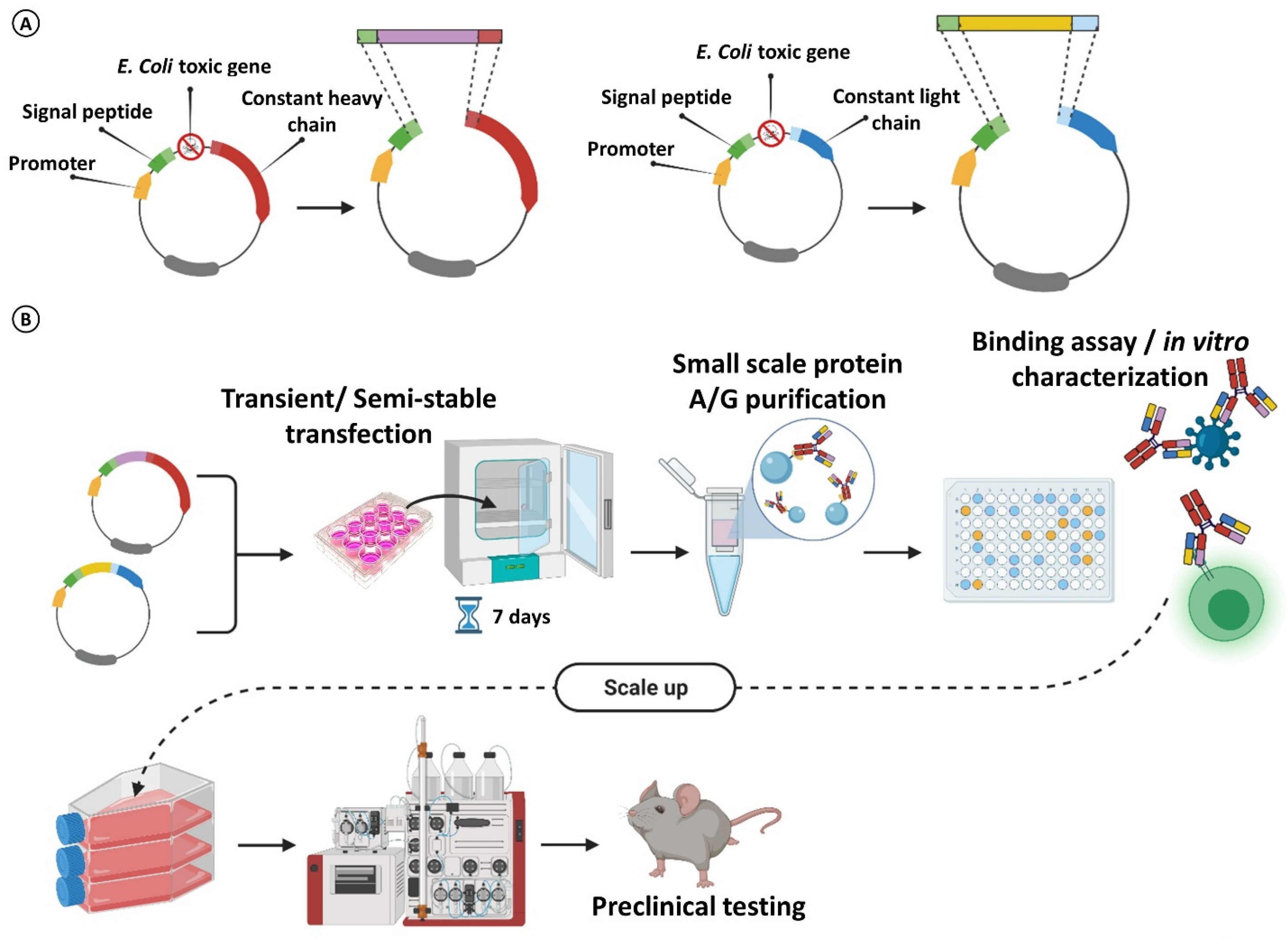 Cancers 14 01325 g006