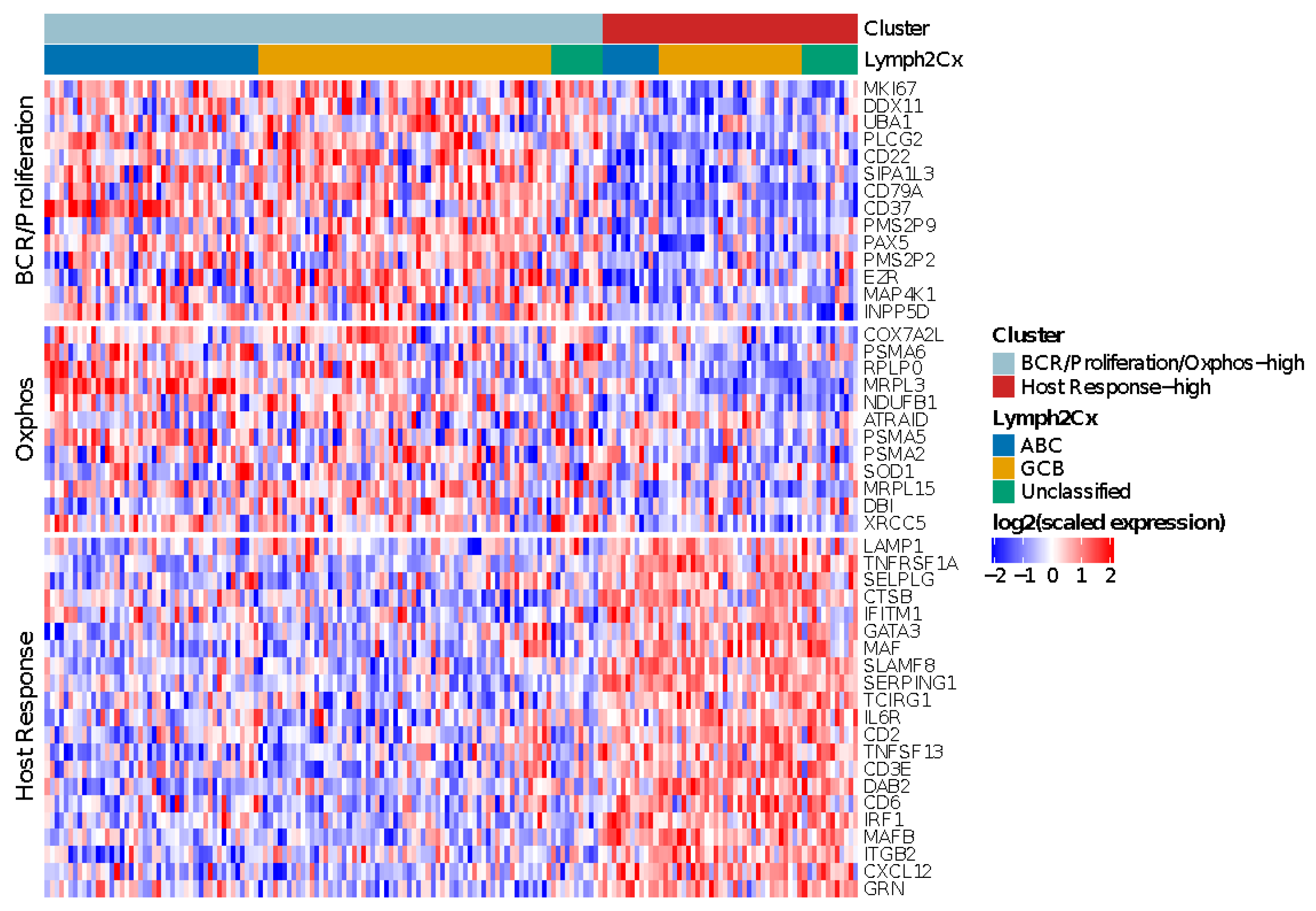 Cancers 14 01346 g003 Cancers 14 01346 g003