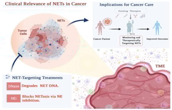 Cancers 14 01359 g002 550