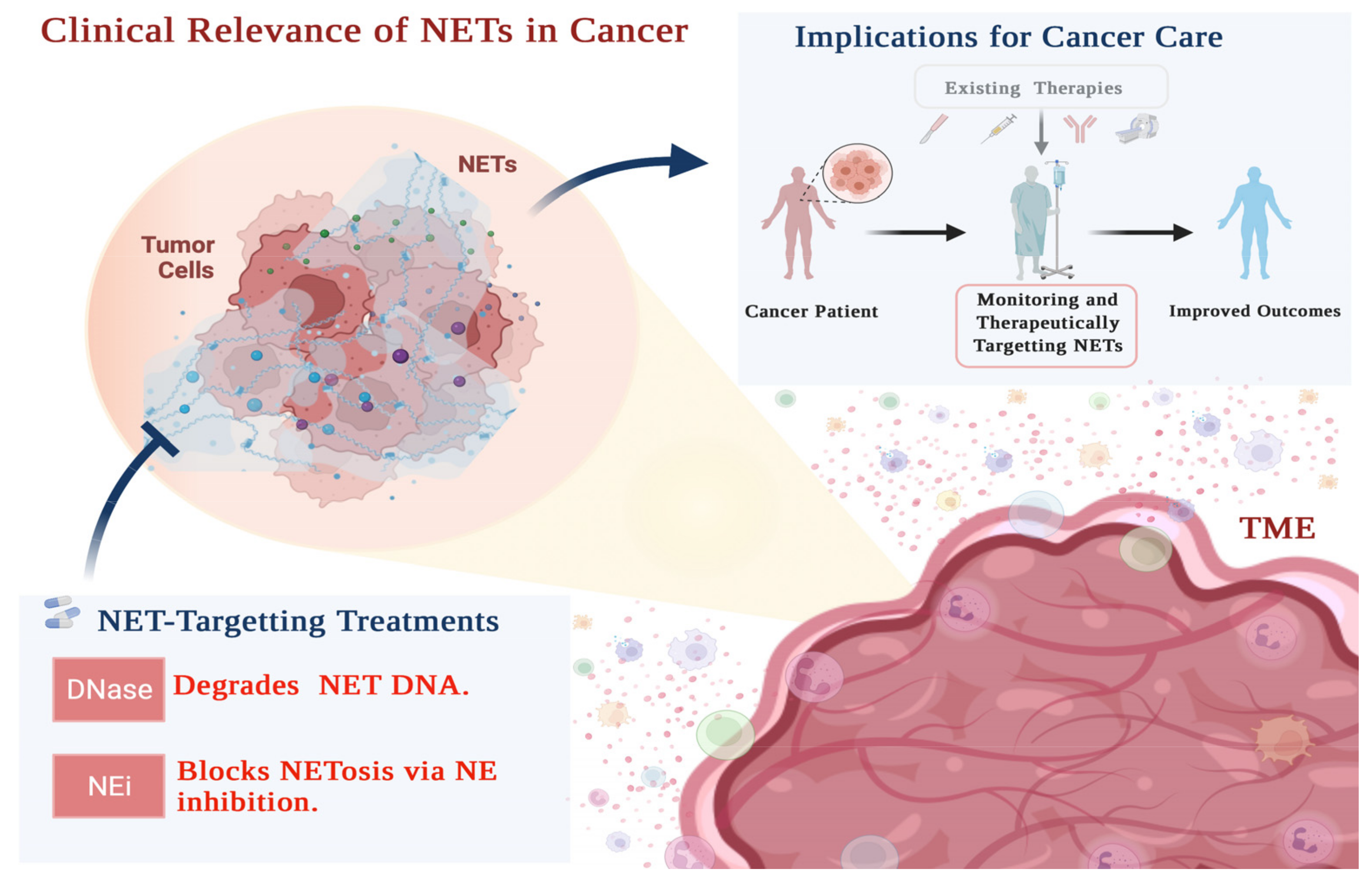 Cancers 14 01359 g002