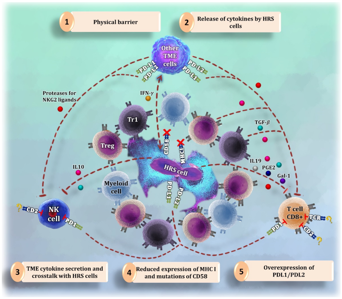 Cancers 14 01360 g001