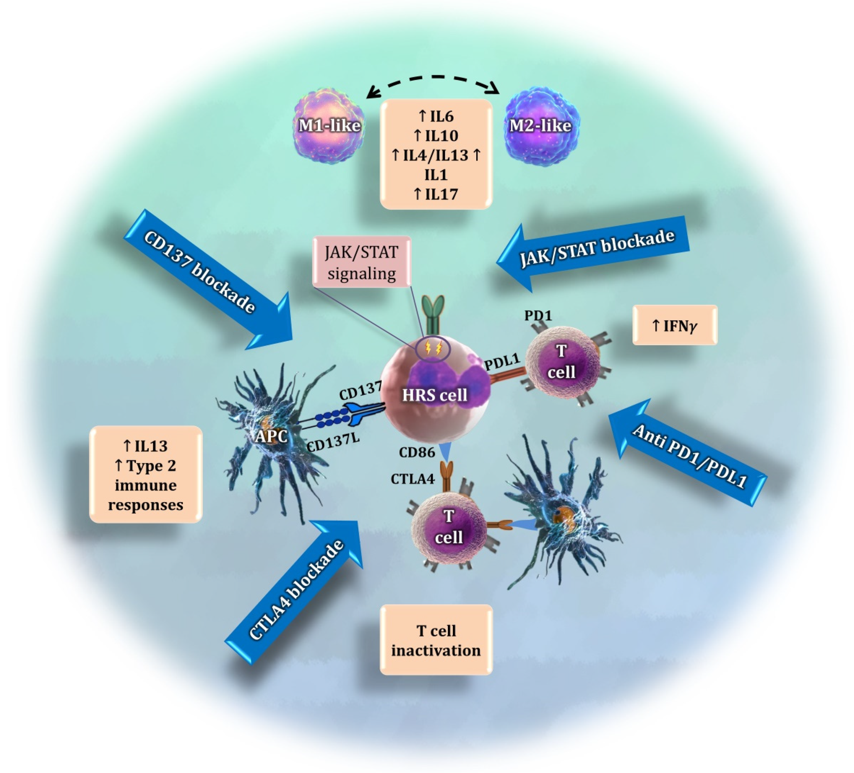 Cancers 14 01360 g002