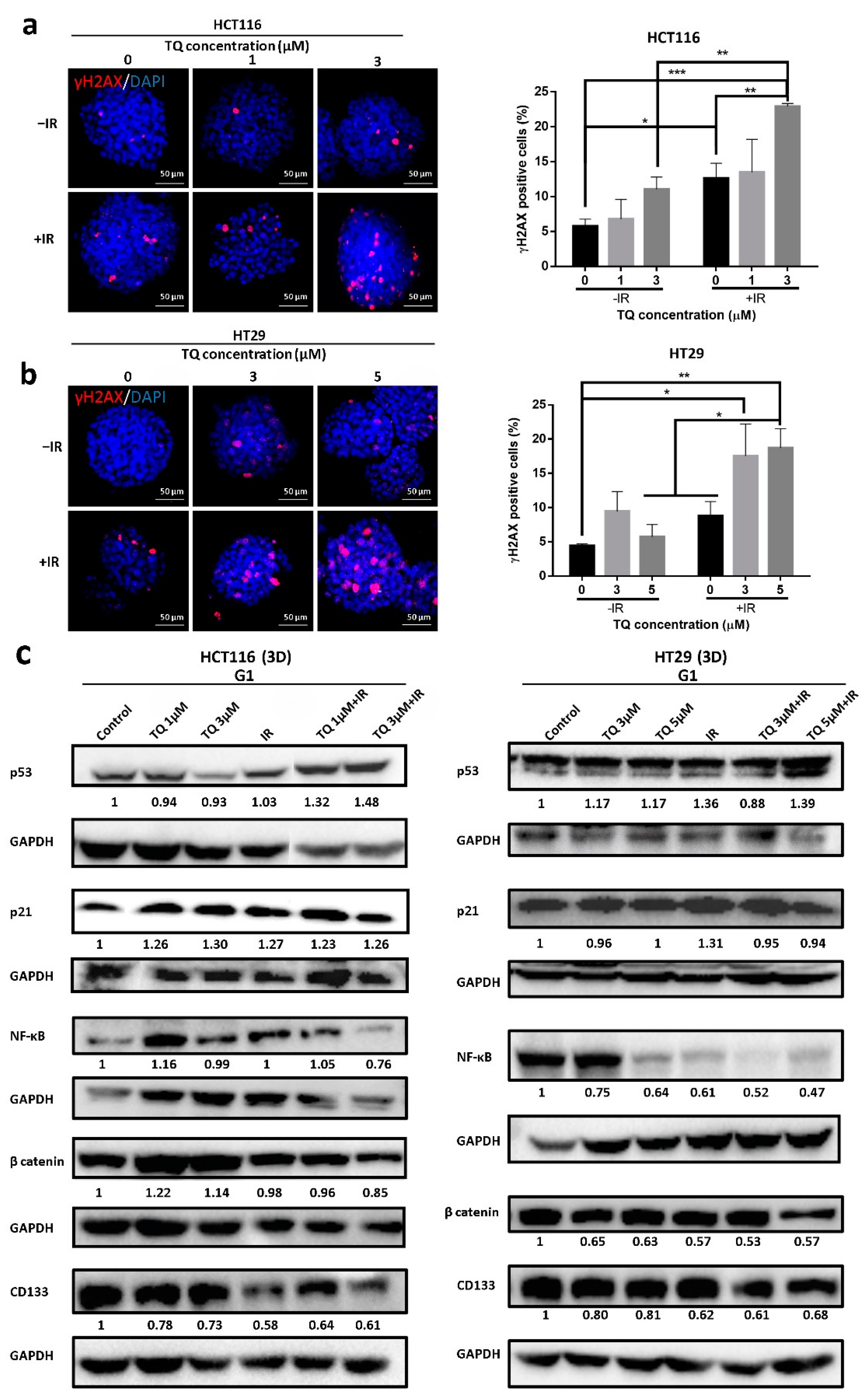 Cancers 14 01363 g005