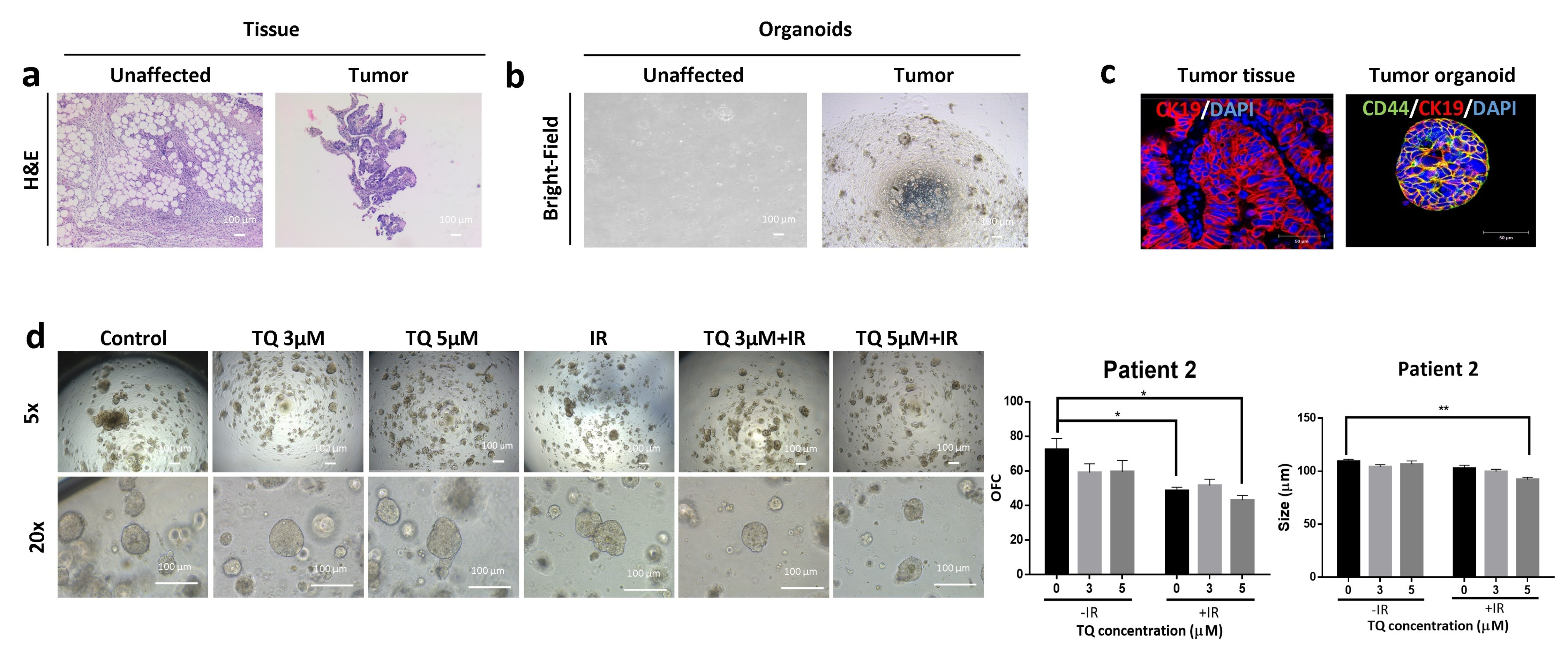 Cancers 14 01363 g007