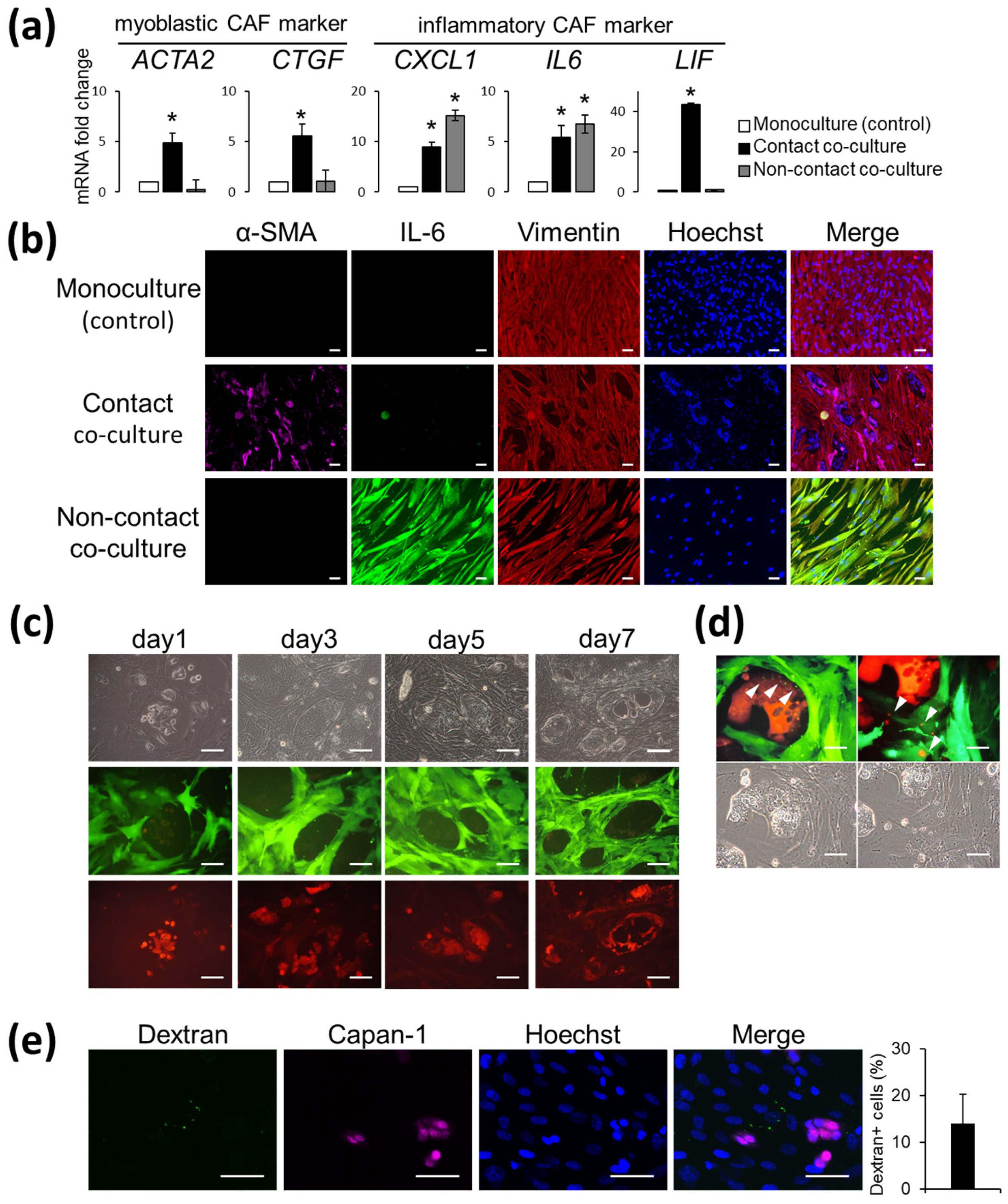 Cancers 14 01375 g001