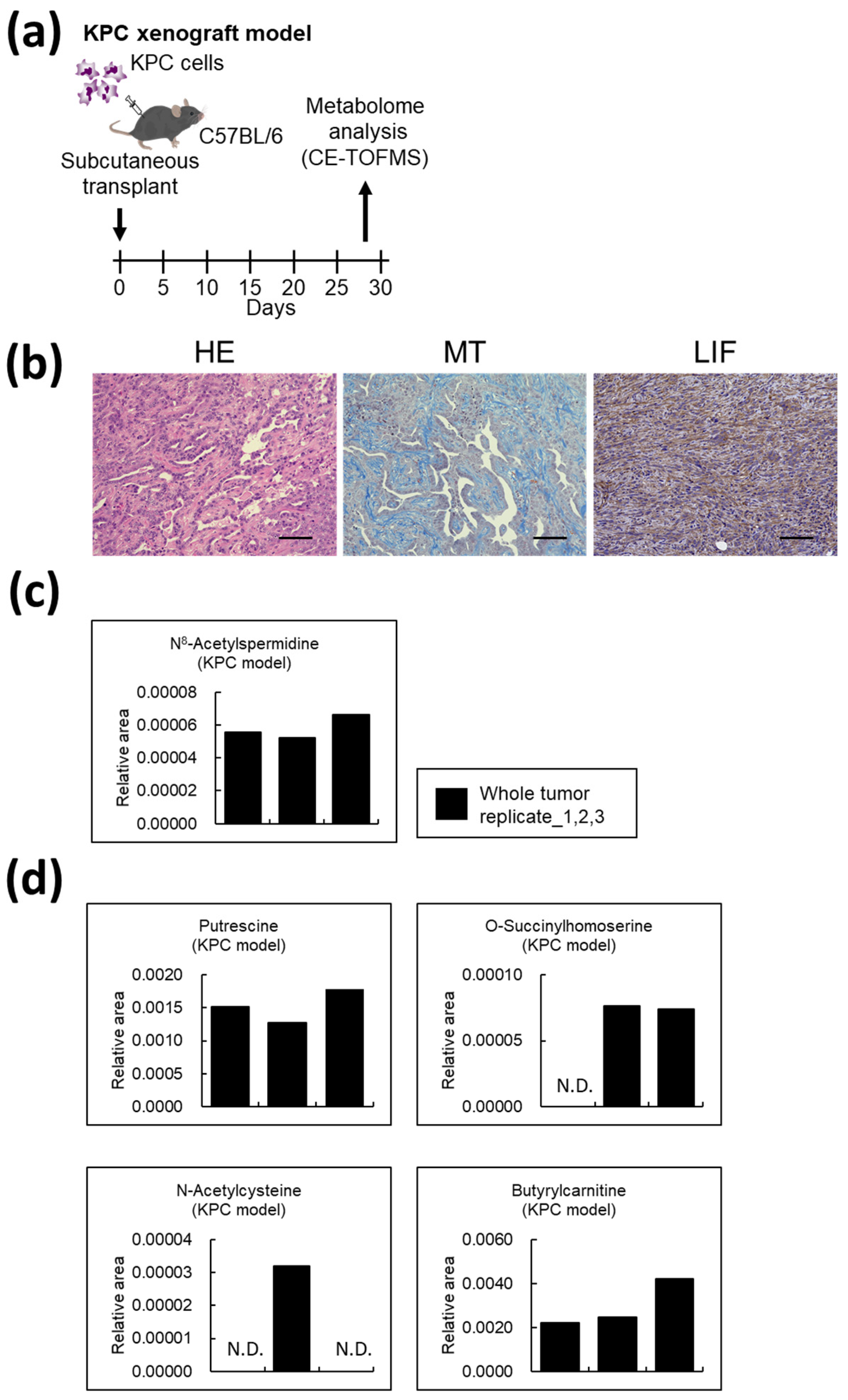 Cancers 14 01375 g007