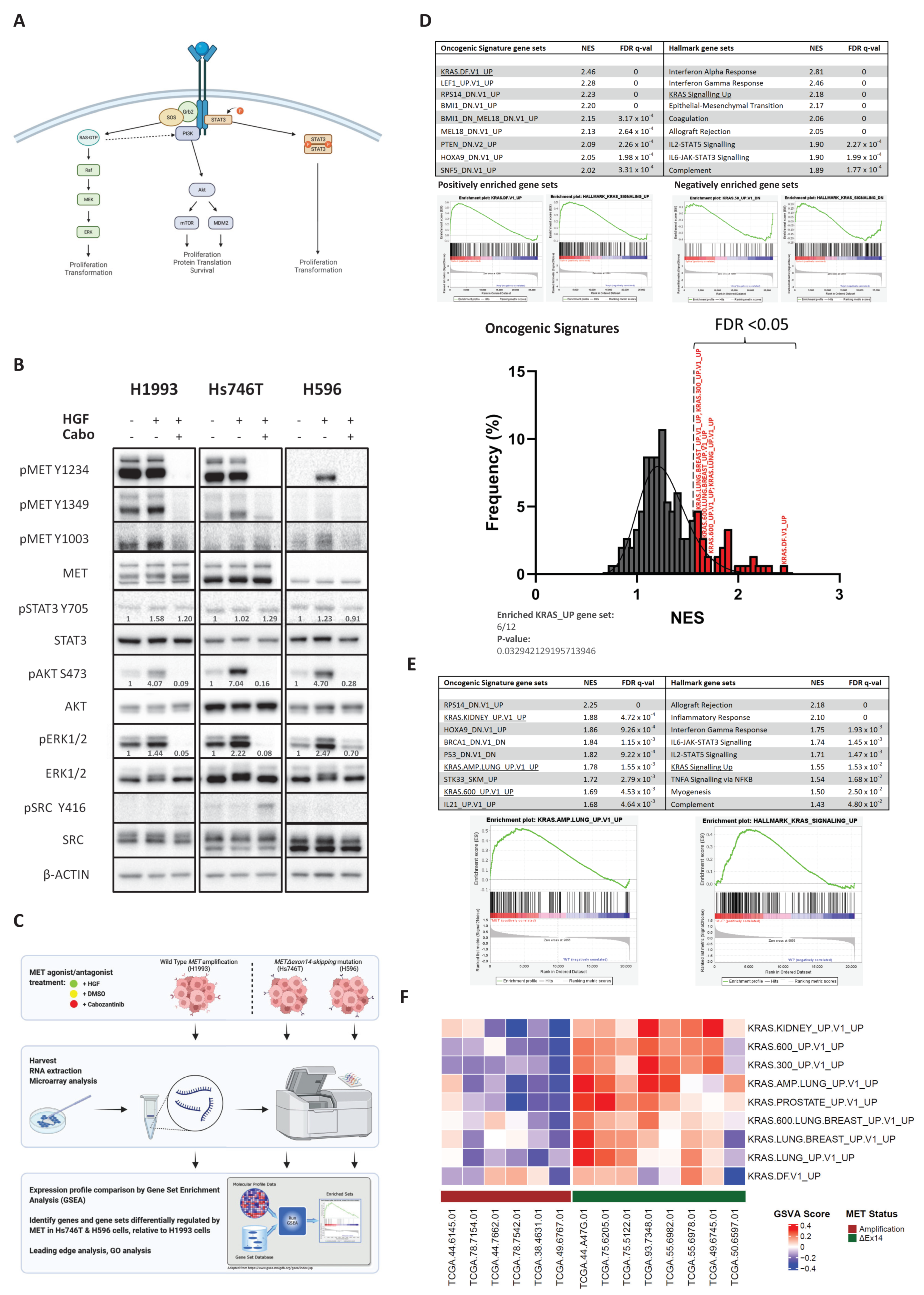 Cancers 14 01378 g001