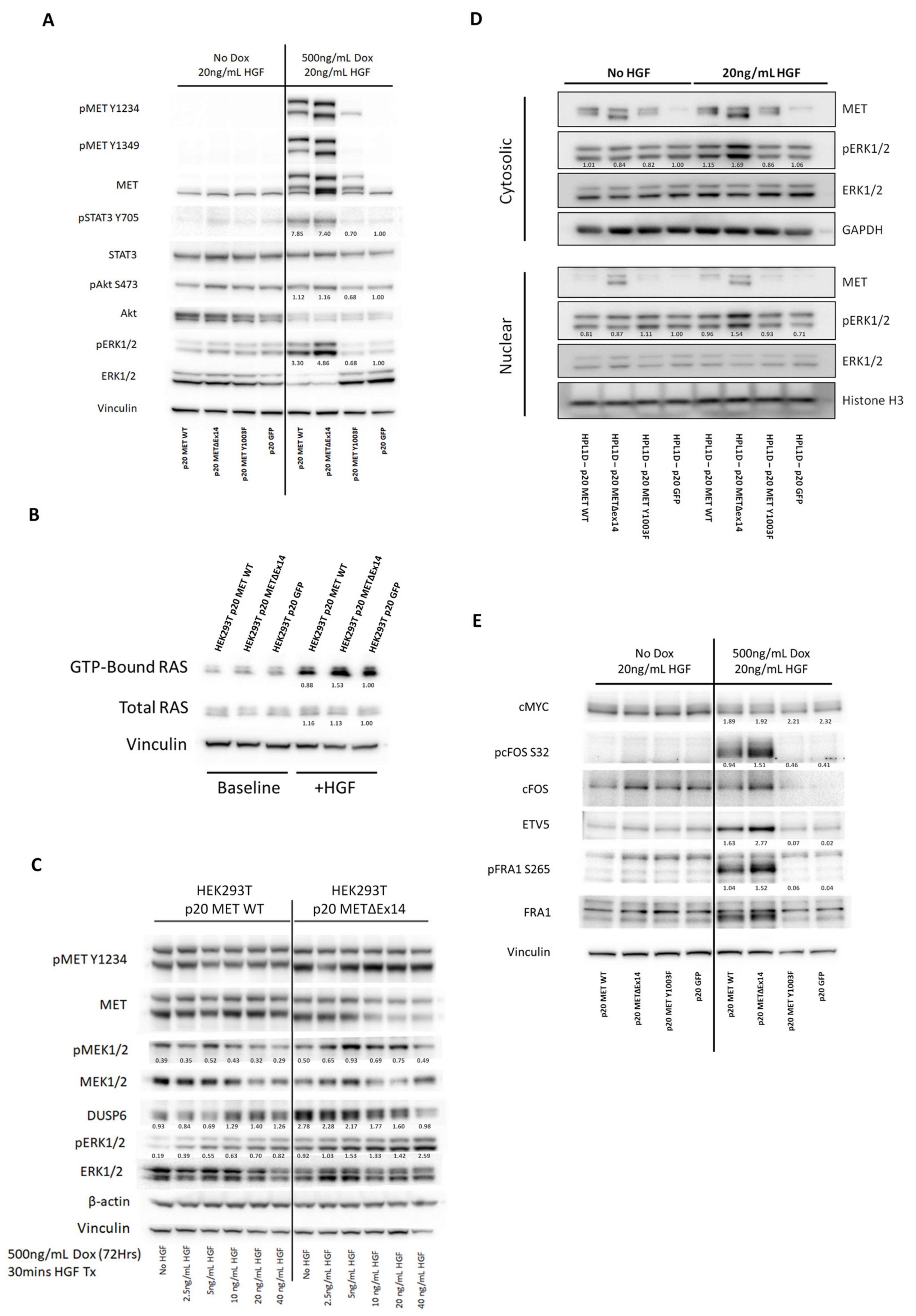 Cancers 14 01378 g003