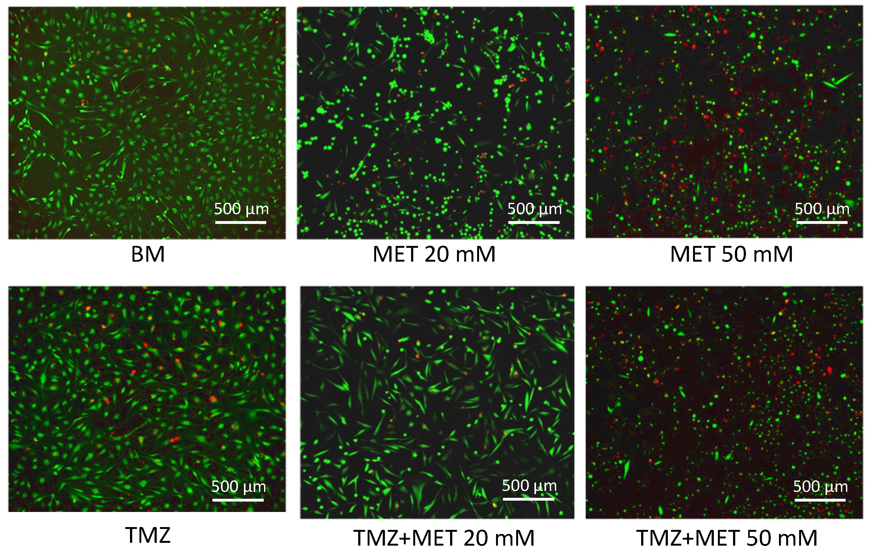 Cancers 14 01412 g003