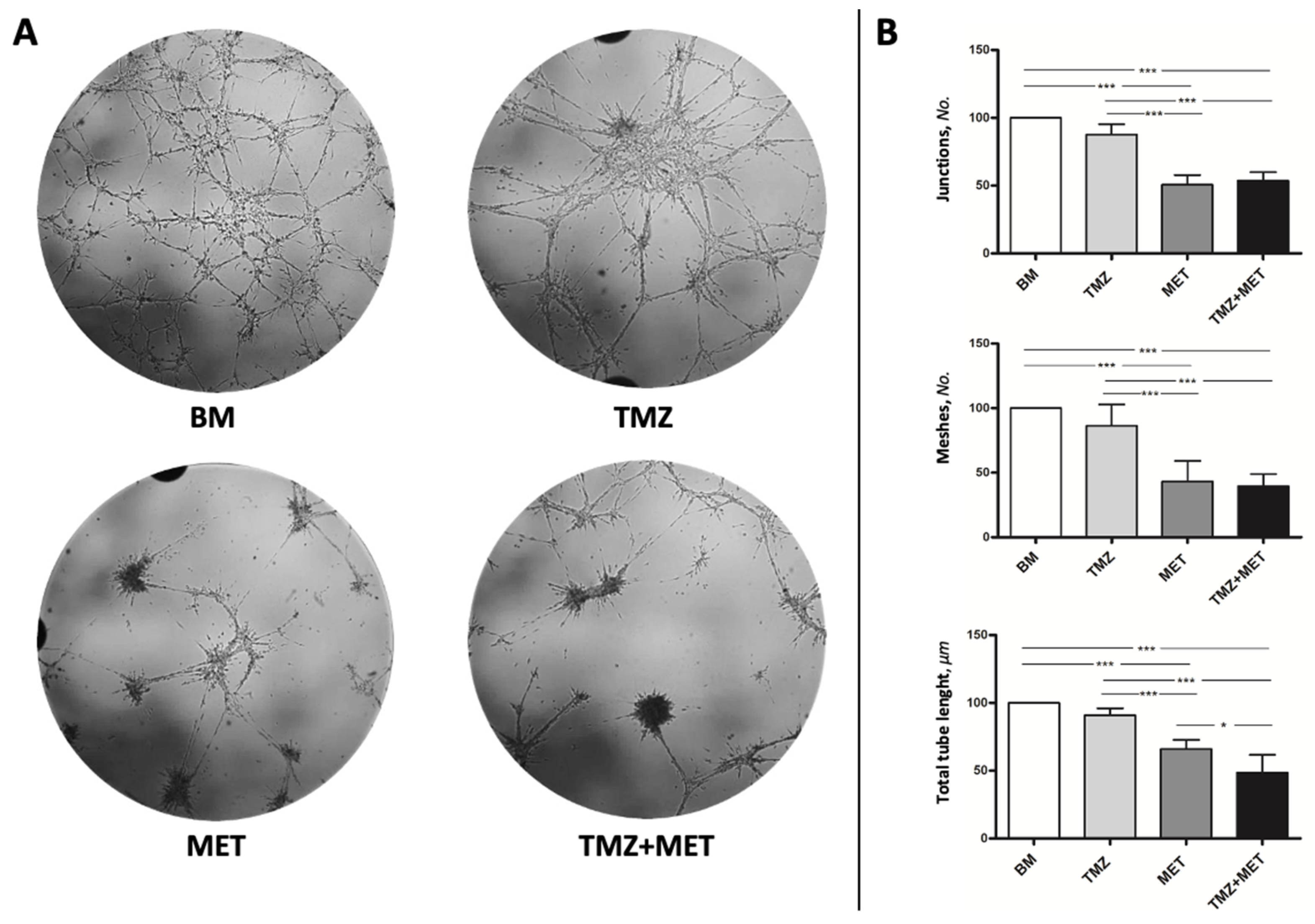 Cancers 14 01412 g007