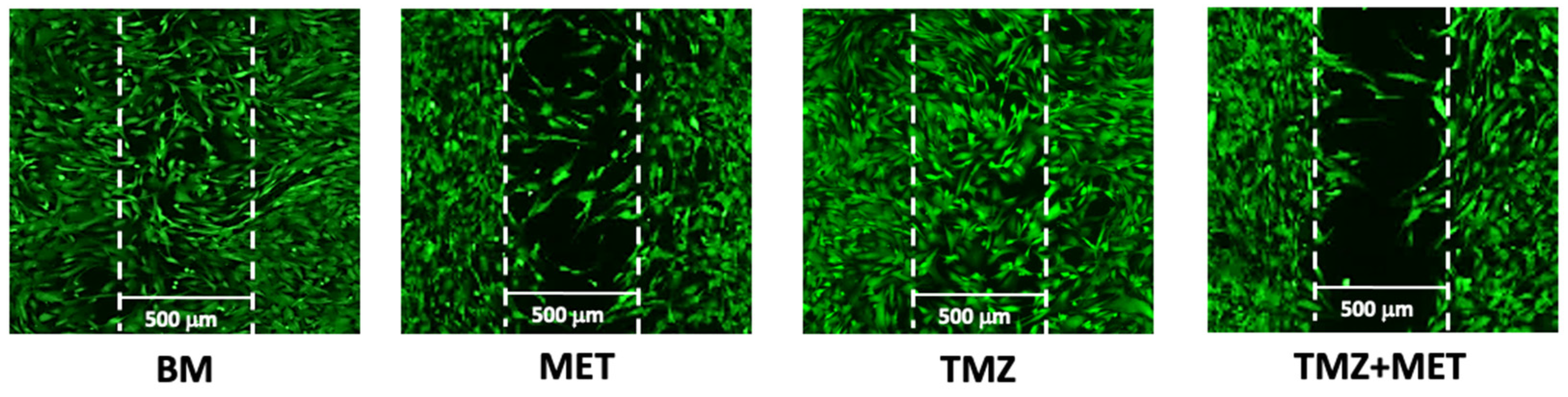 Cancers 14 01412 g008