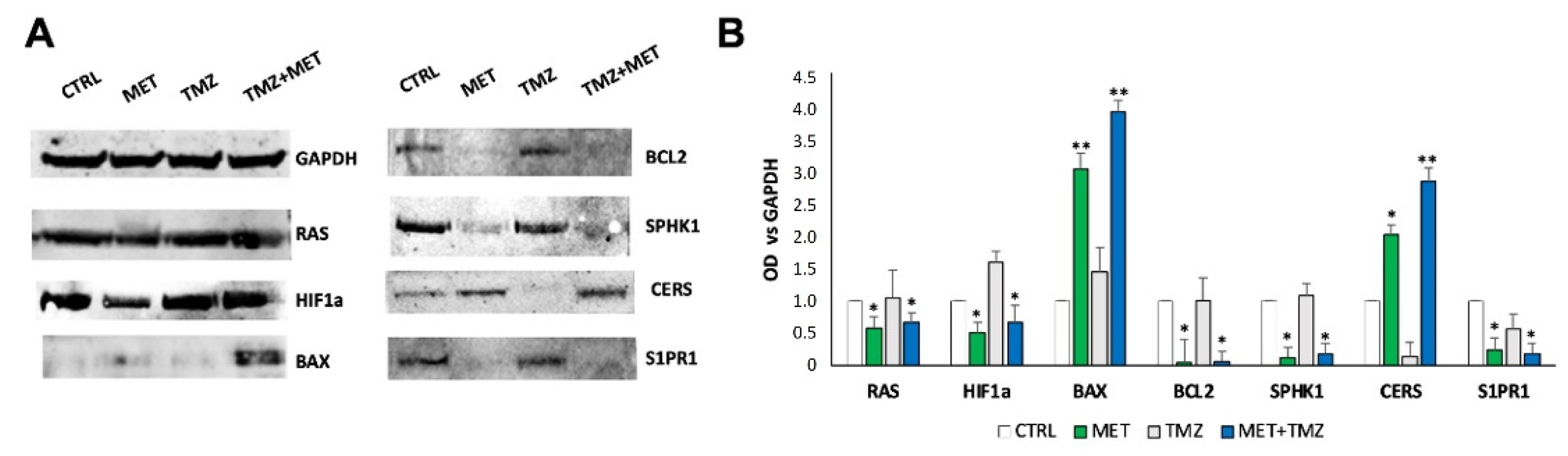 Cancers 14 01412 g011