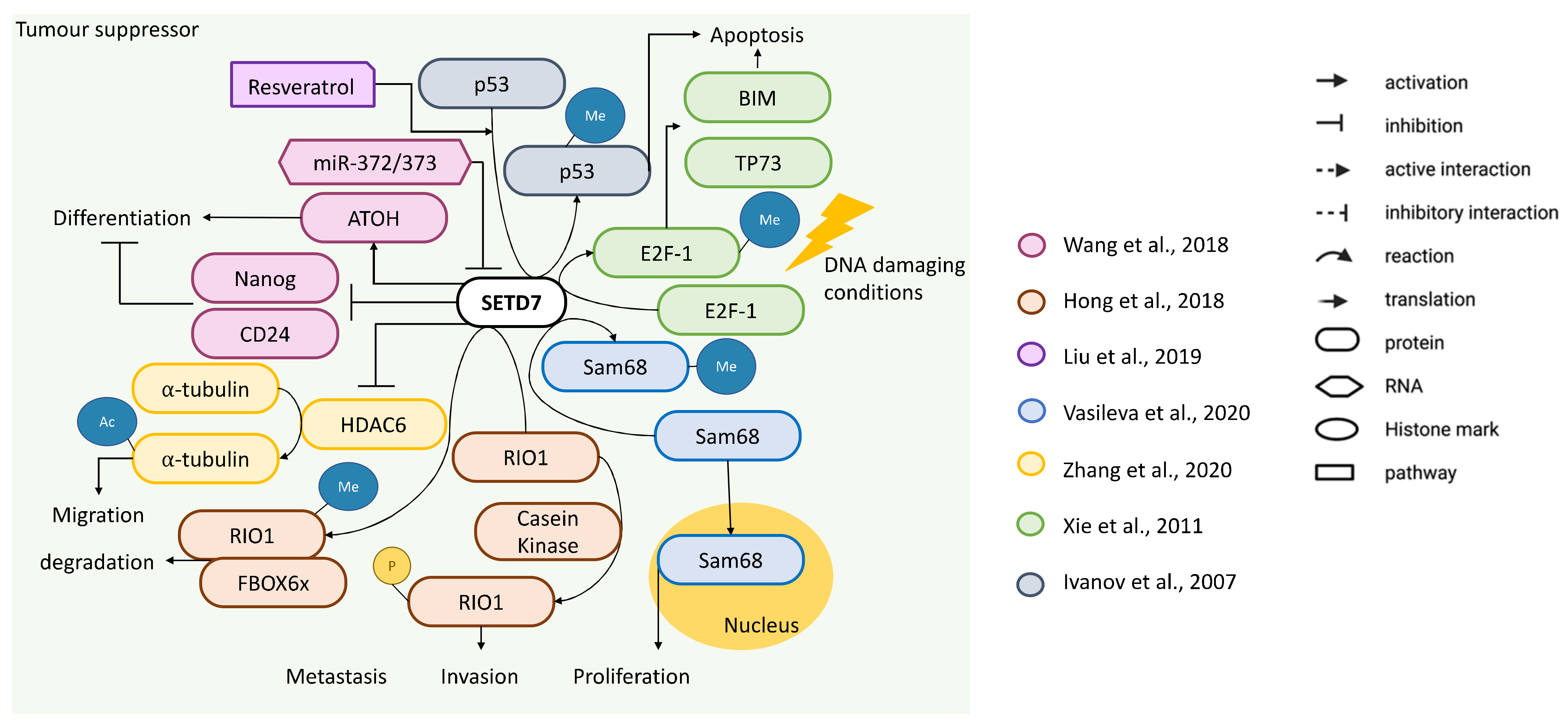 Cancers 14 01414 g004