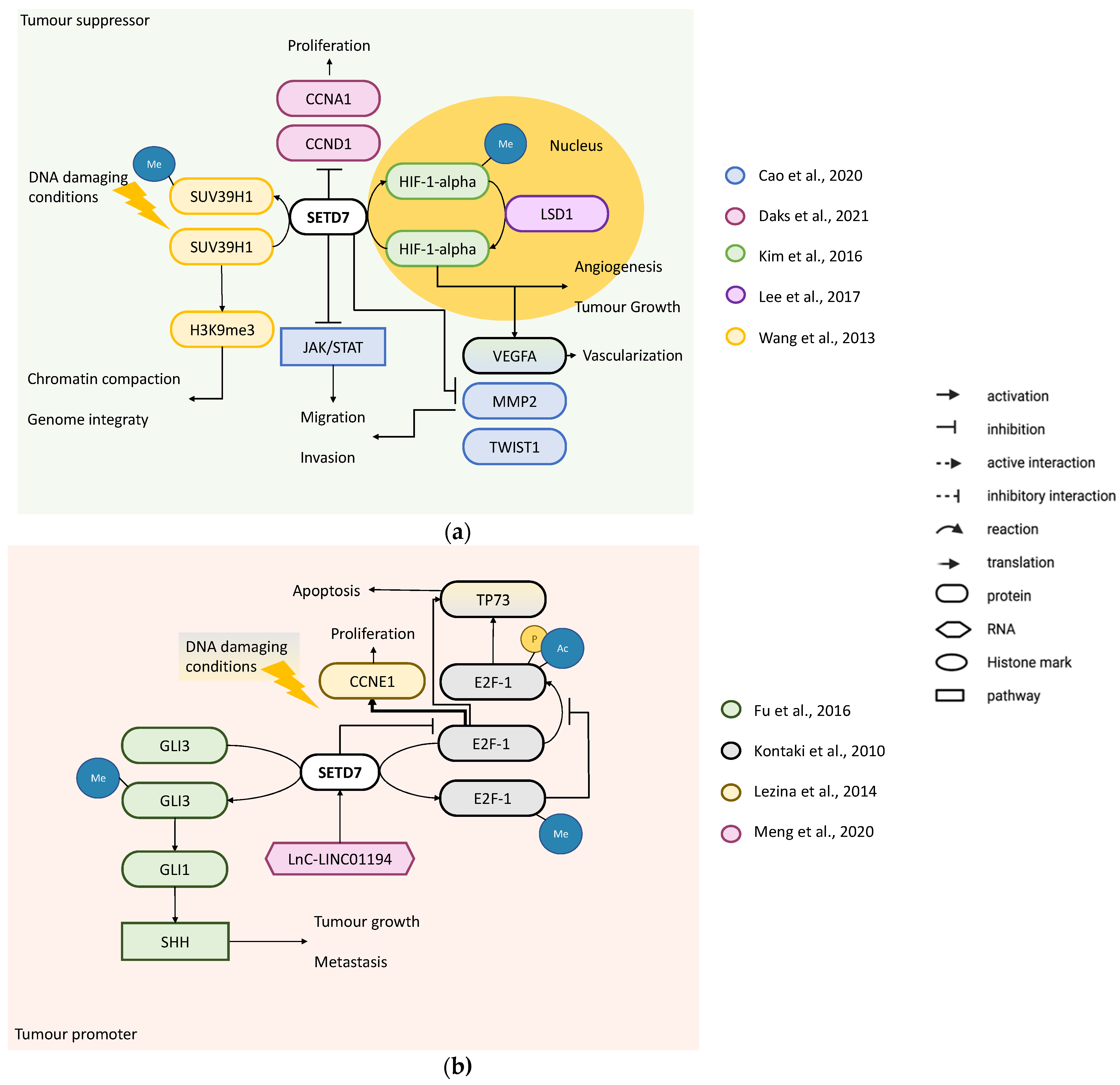 Cancers 14 01414 g005
