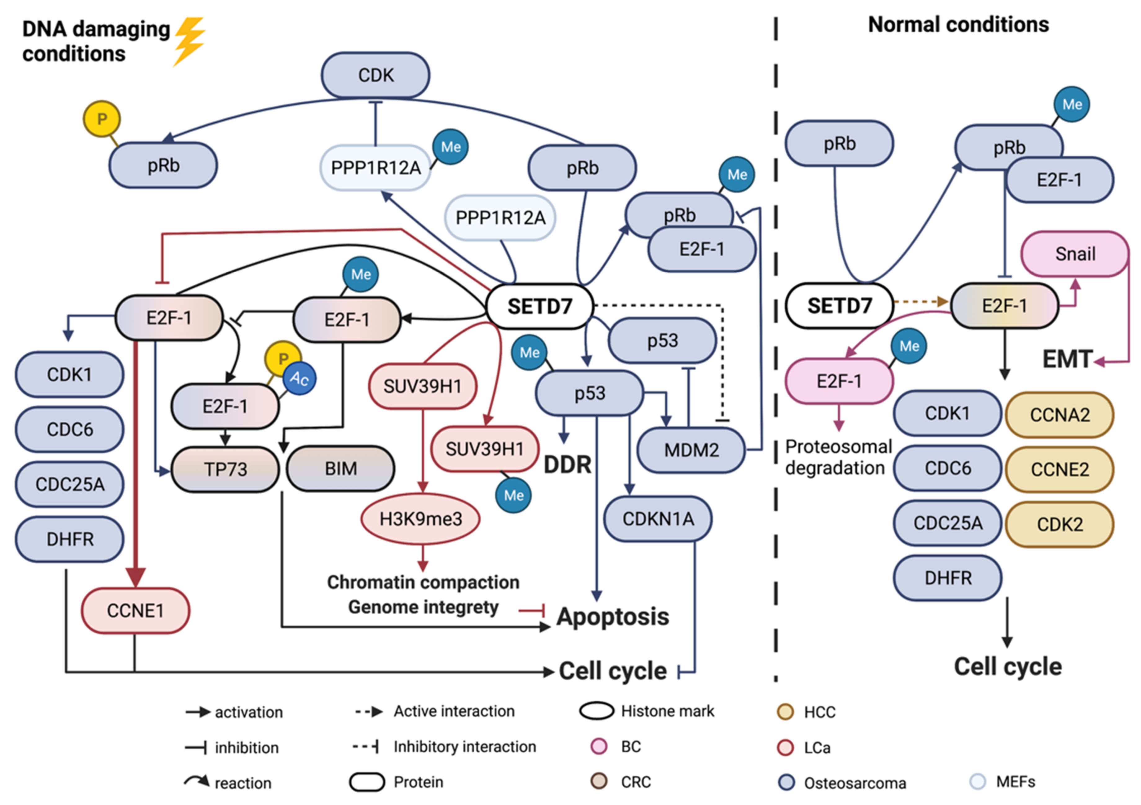 Cancers 14 01414 g009